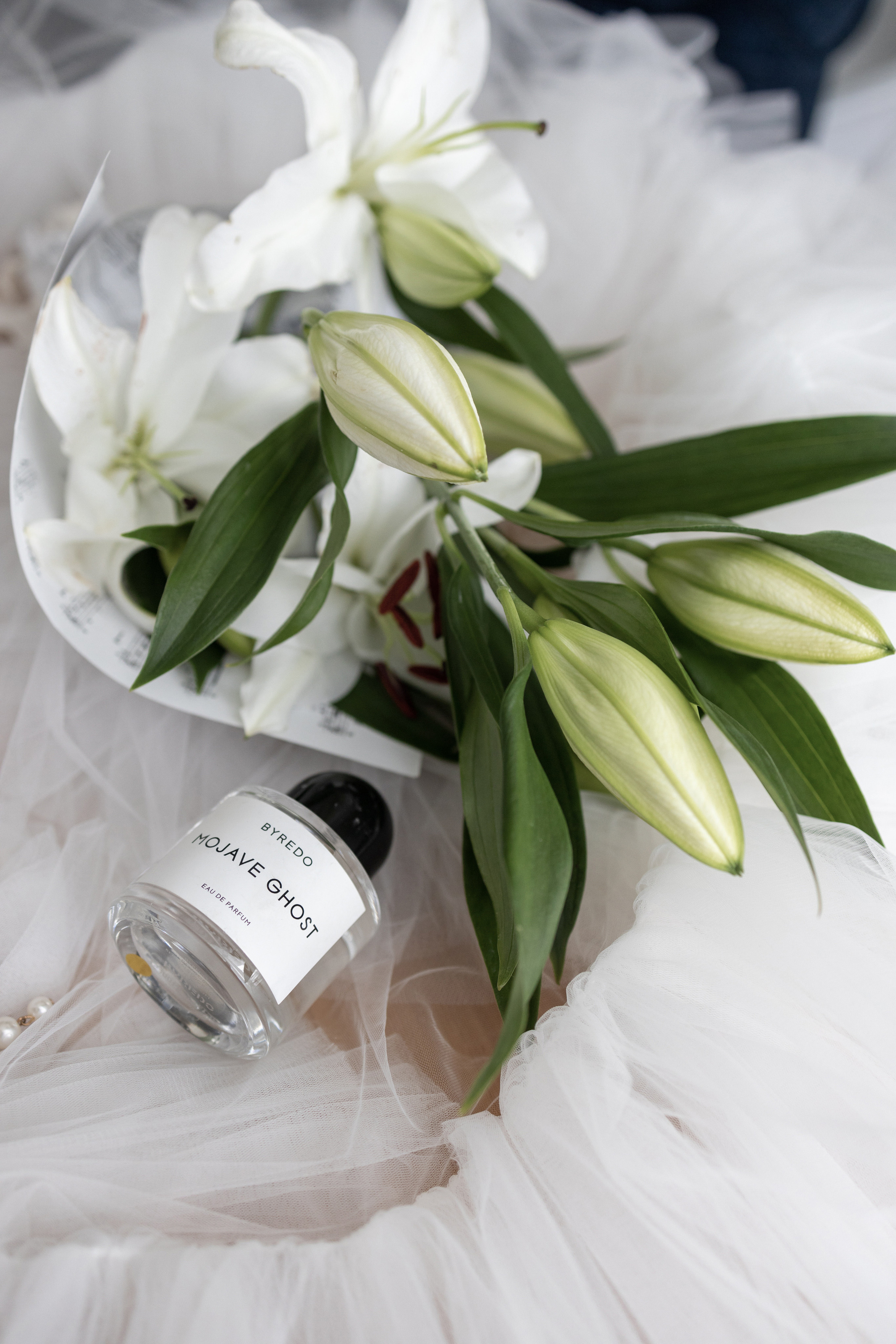 Двое в лодке, не считая собаки. Репортажный и студийный фотограф в Москве — Софи