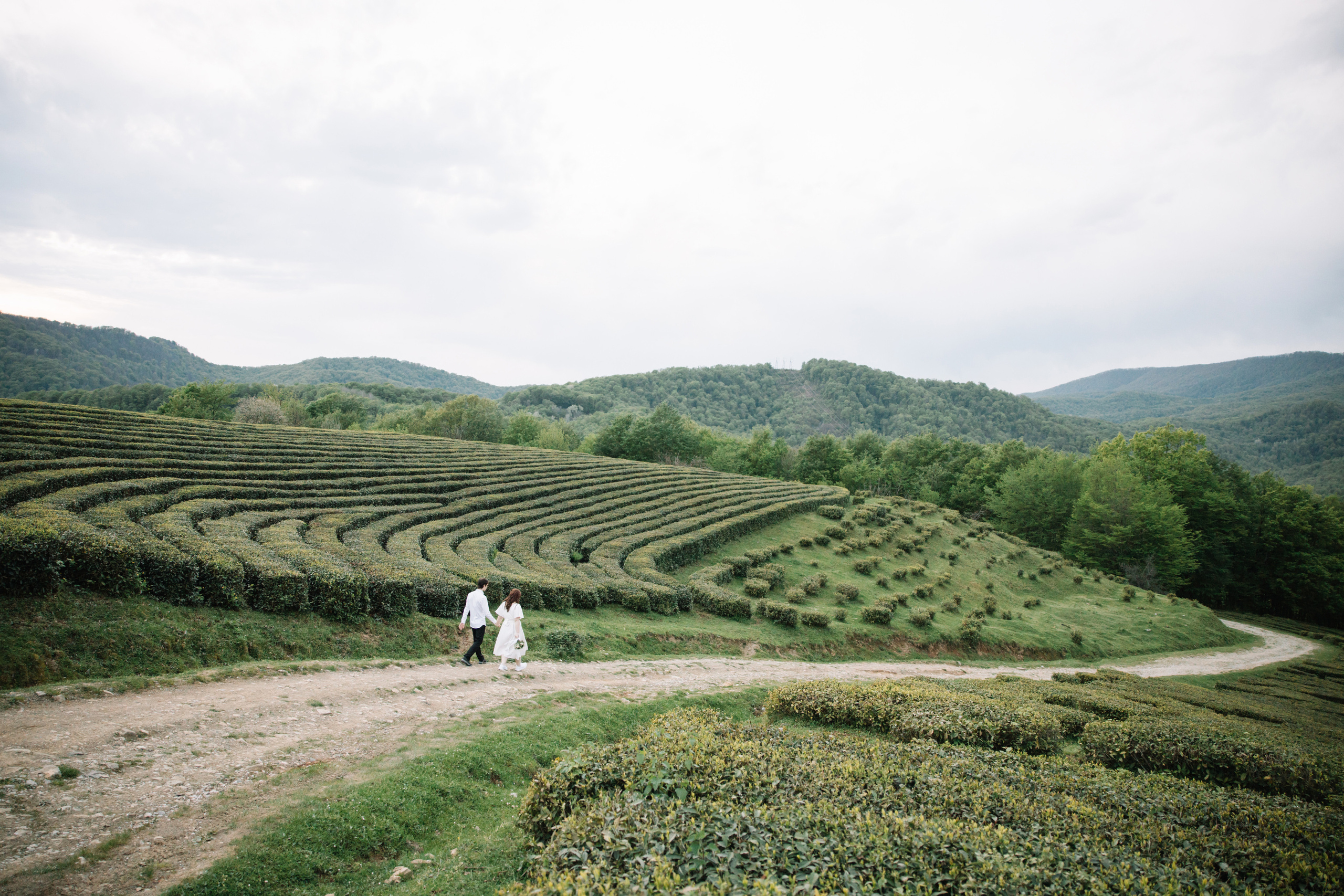 Свадьба в Сочи. Репортажный и студийный фотограф в Москве — Софи