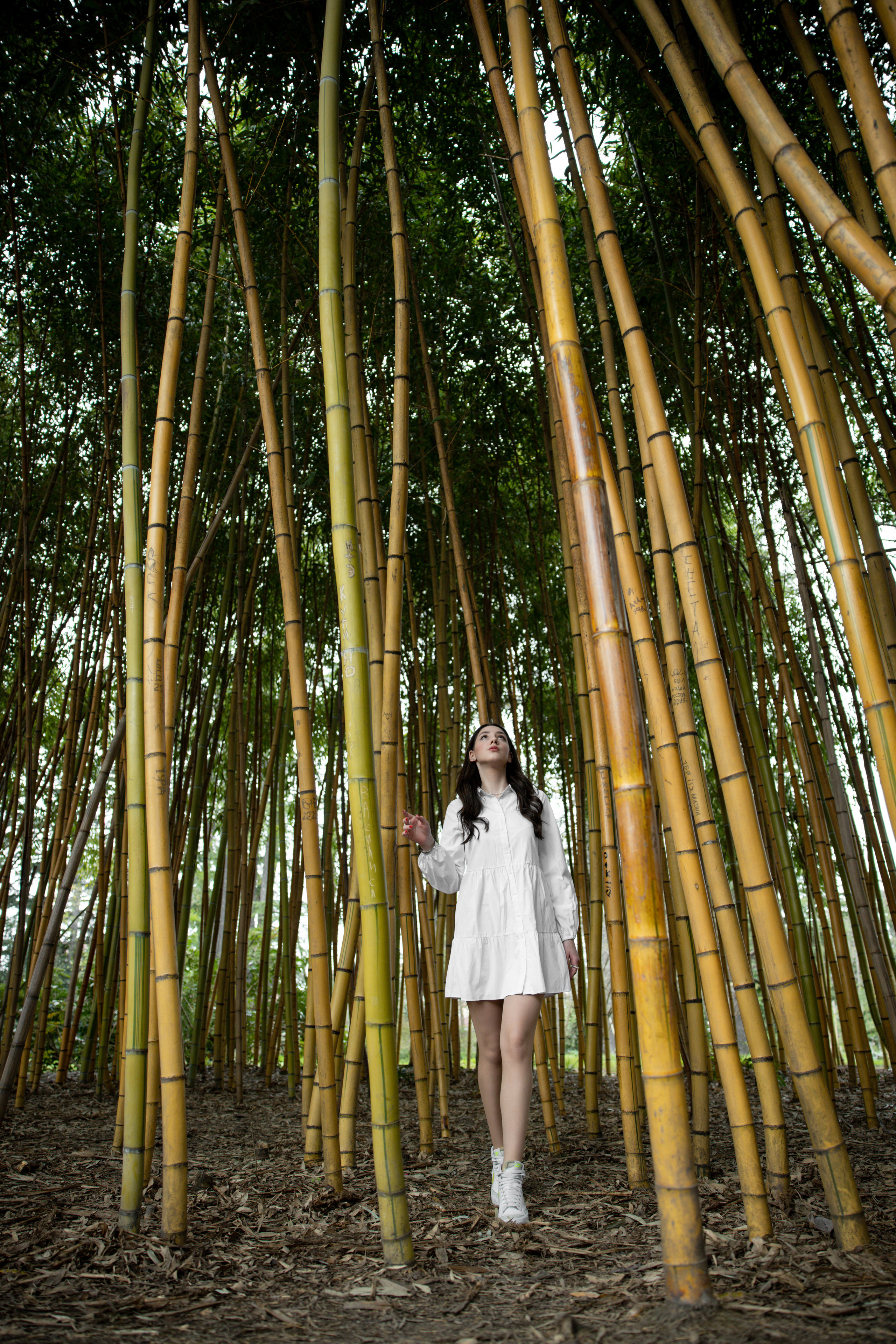 В цветении. Репортажный и студийный фотограф в Москве — Софи