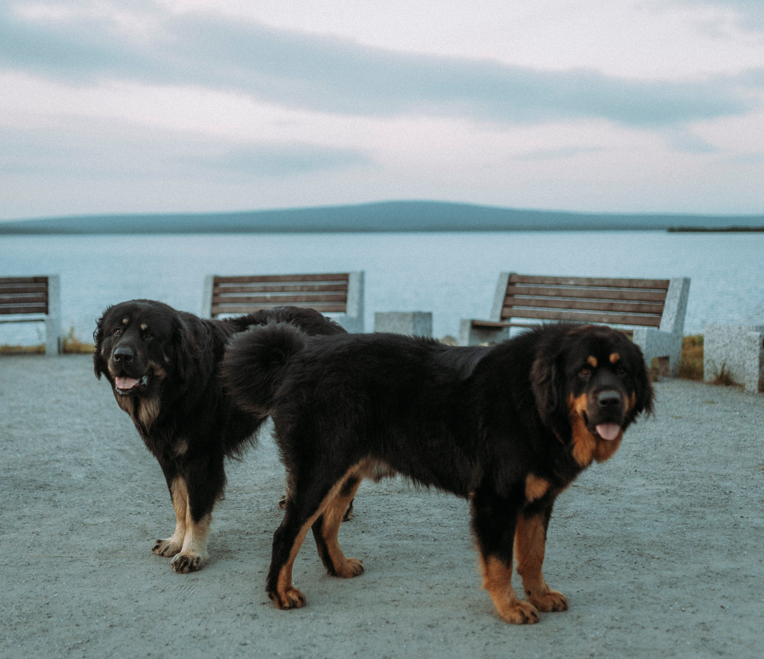 2024. Стрит-фотография, полная абсурда, идиотизма и красоты