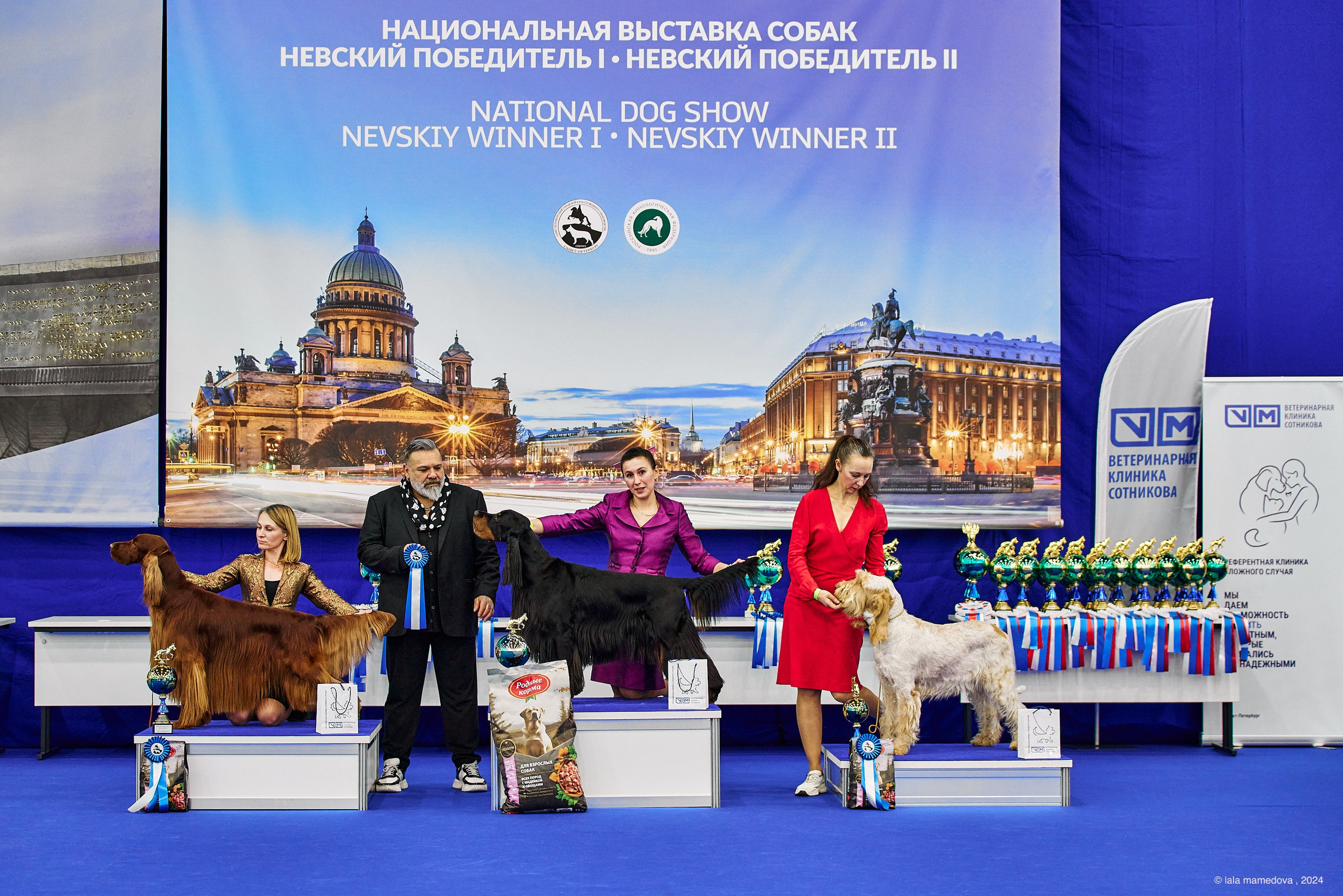 РЕЙТИНГОВАЯ ВЫСТАВКА СОБАК ВСЕХ ПОРОД С ОСОБЫМ СТАТУСОМ"НЕВСКИЙ ПОБЕДИТЕЛЬ-2024-1"