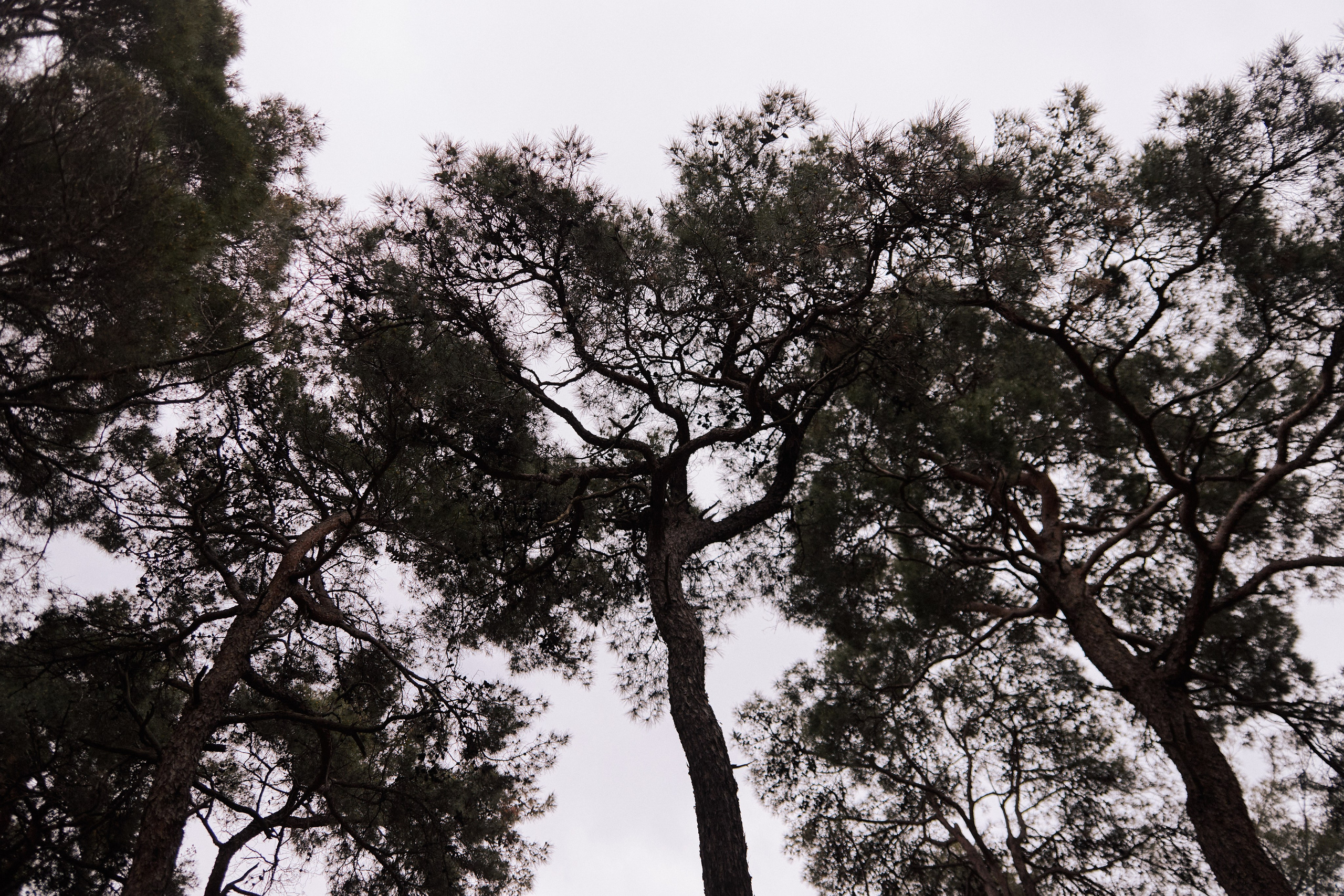 Улица горизонтальная. Jorgis — фотограф в Хургаде / обучение фотографии