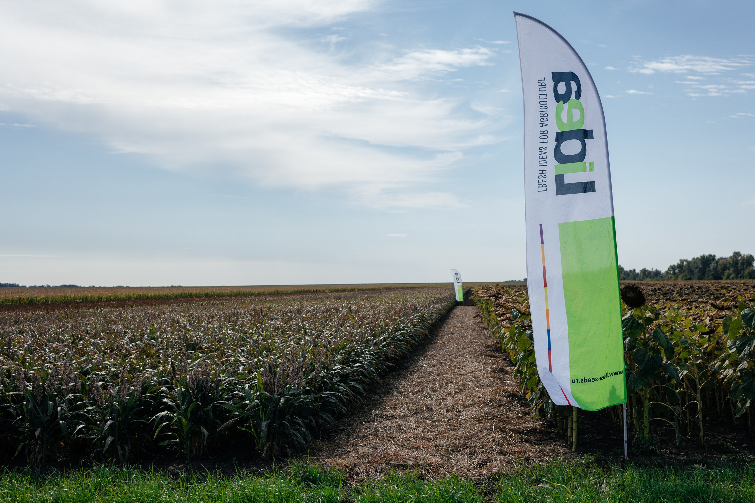 День поля. Фотограф Крохин Олег