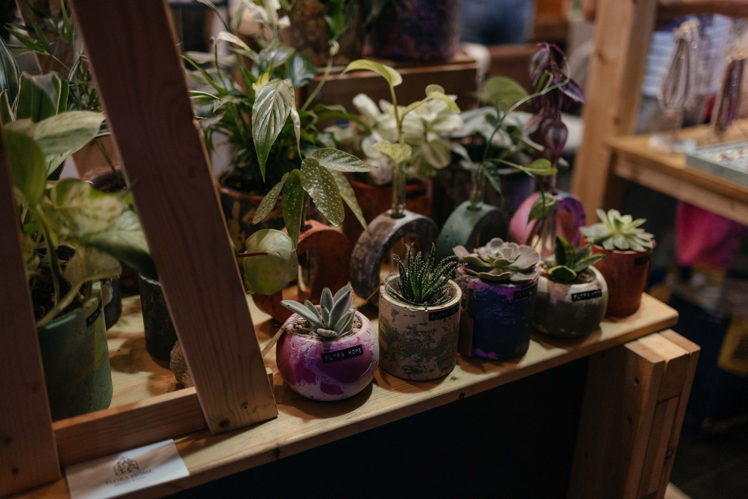 Ярмарка Омаркет. Фотограф Крохин Олег