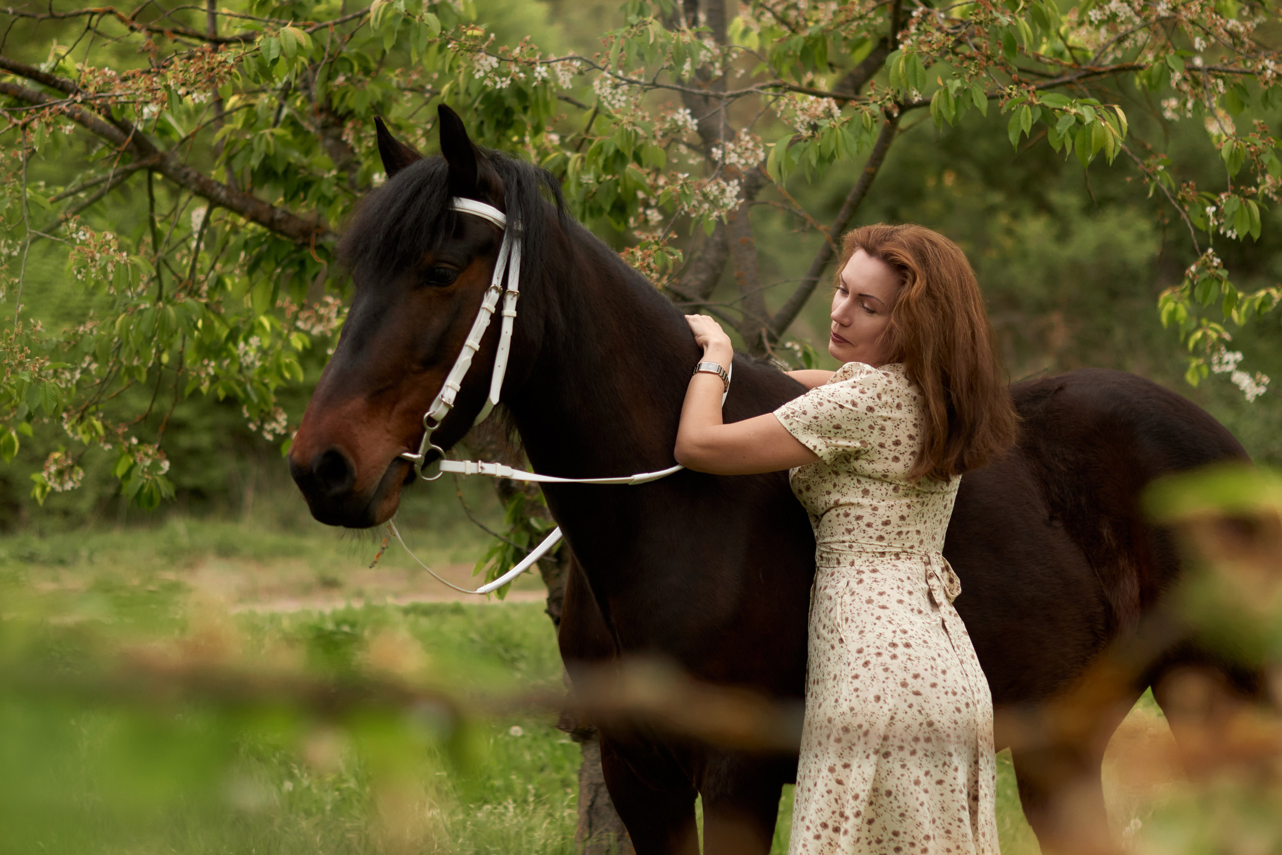 Фотосессия с лошадью Севастополь. Фотограф в Севастополе