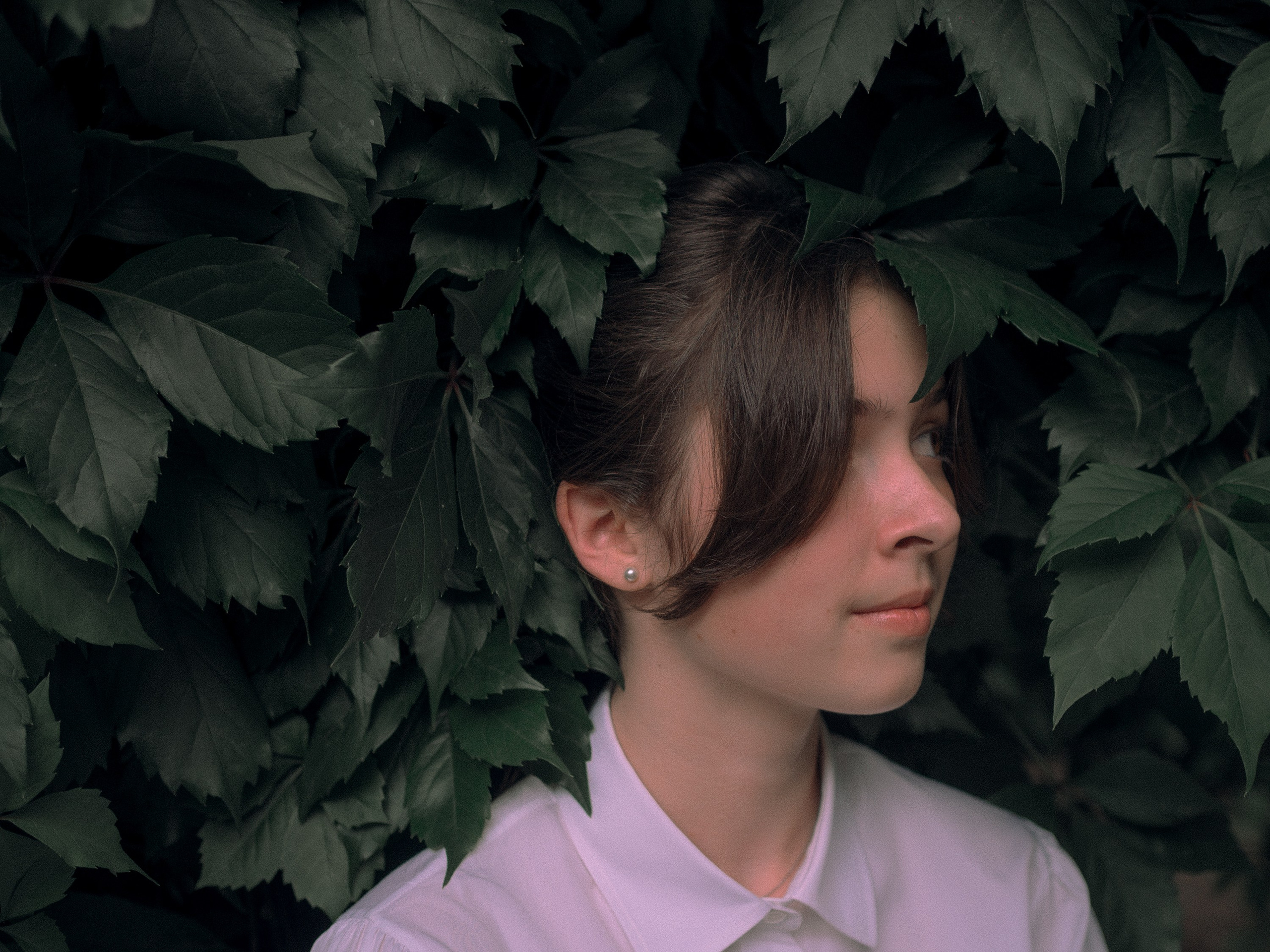 Вам и не снилось