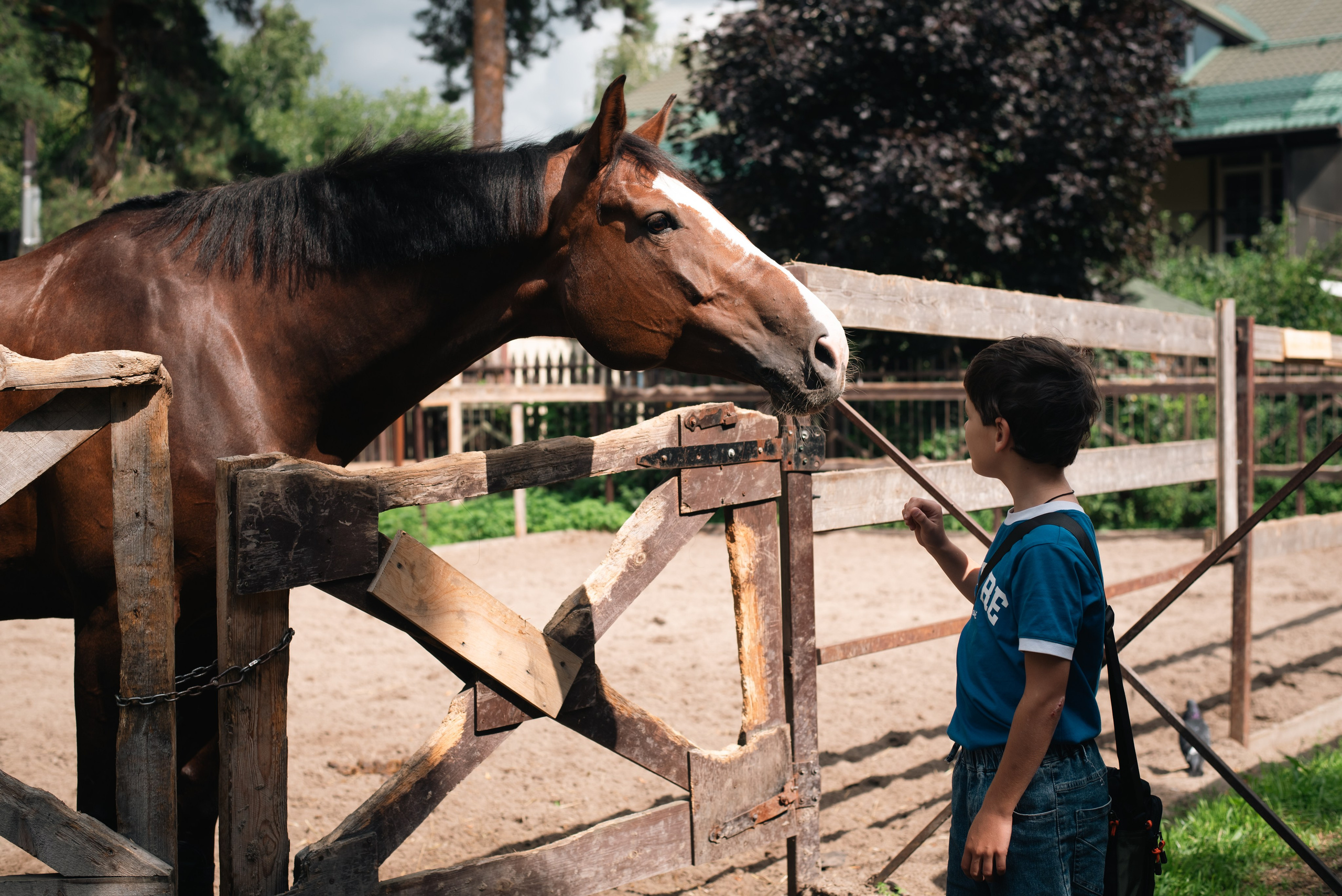 Выездка 10.08.25. Фотограф, визажист. Москва