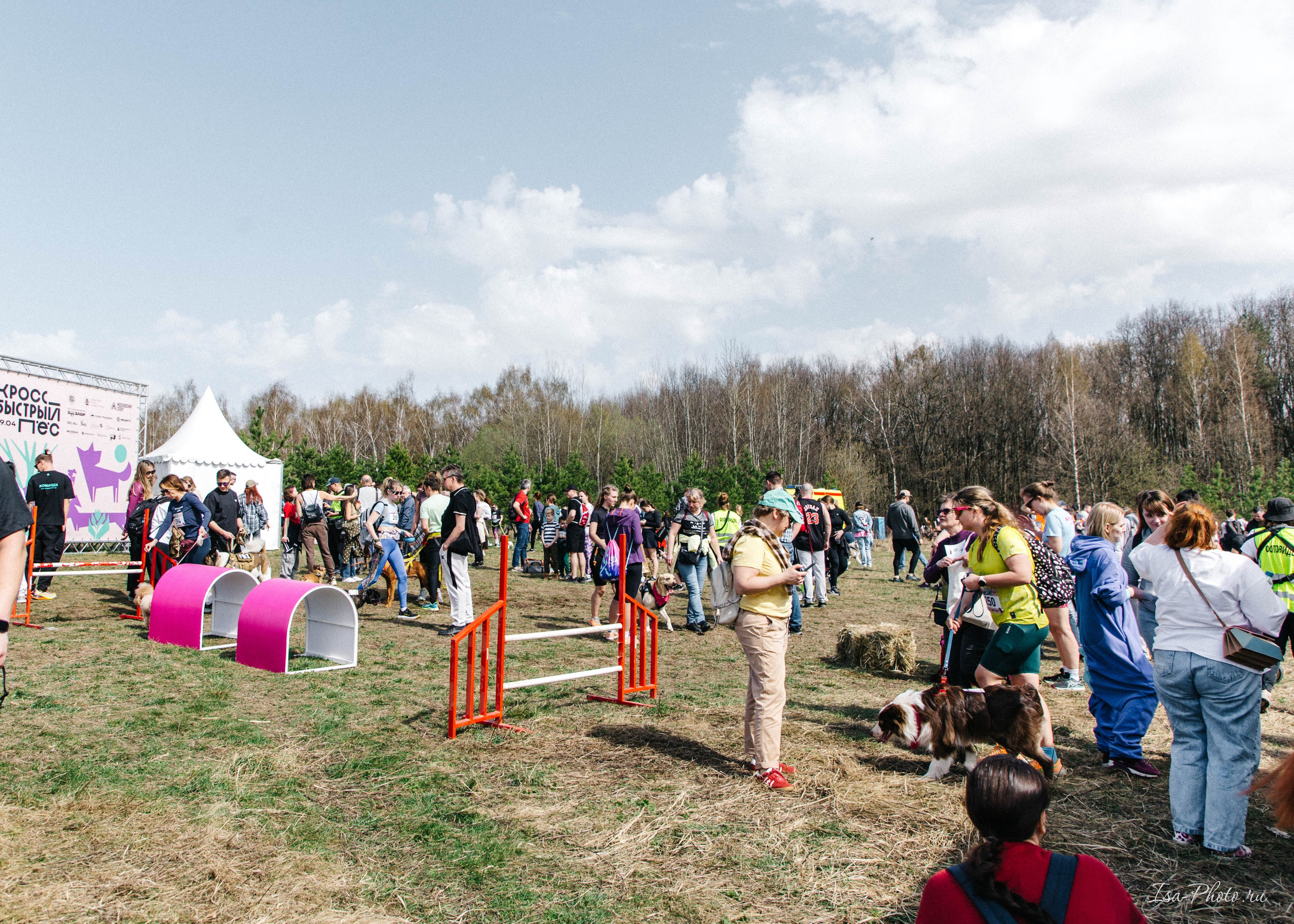 Кросс «Быстрый пёс» 2025. Репортажный фотограф в Москве