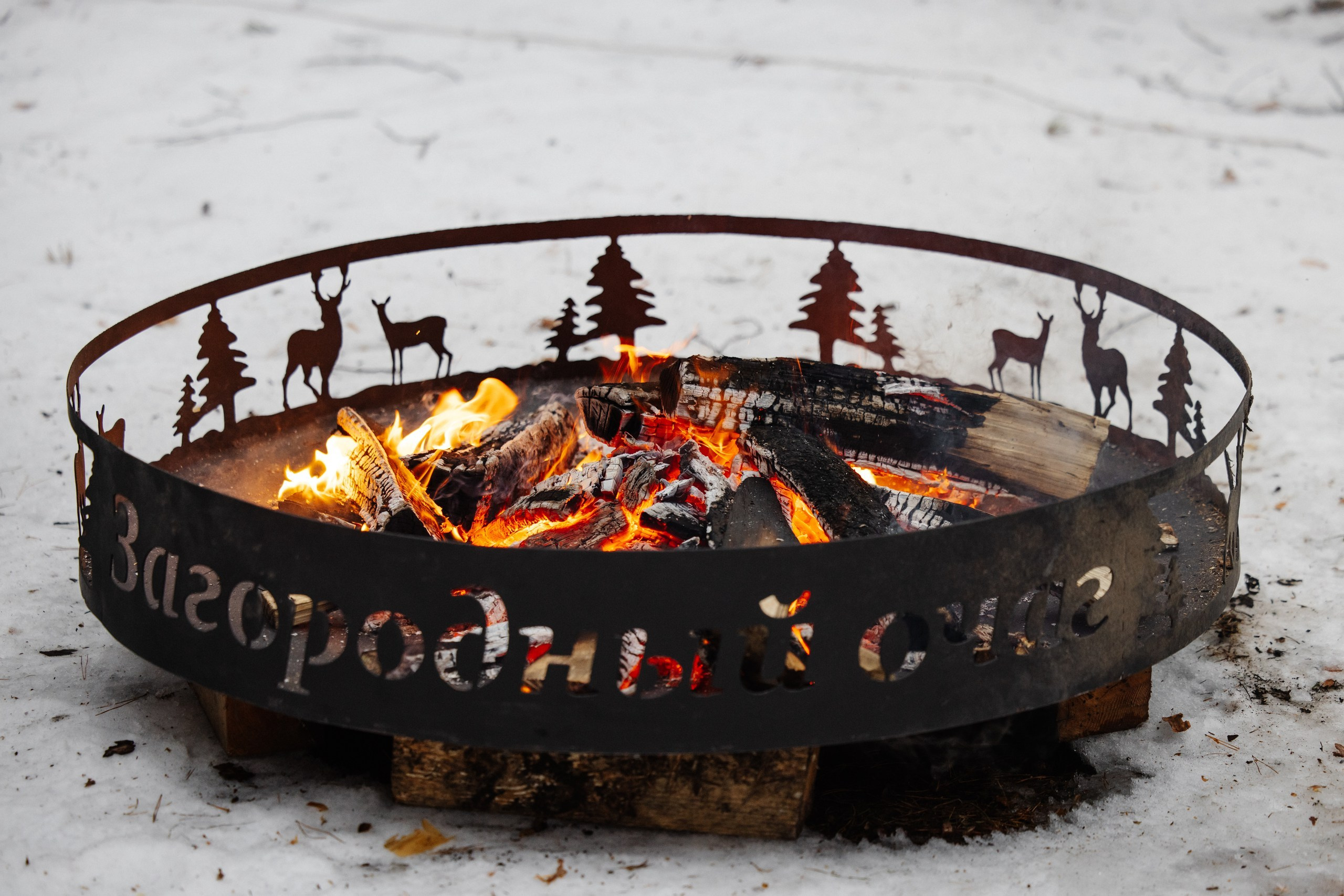 Николай и Алевтина. Ваши Истории. Фотограф/видеограф. Абакан