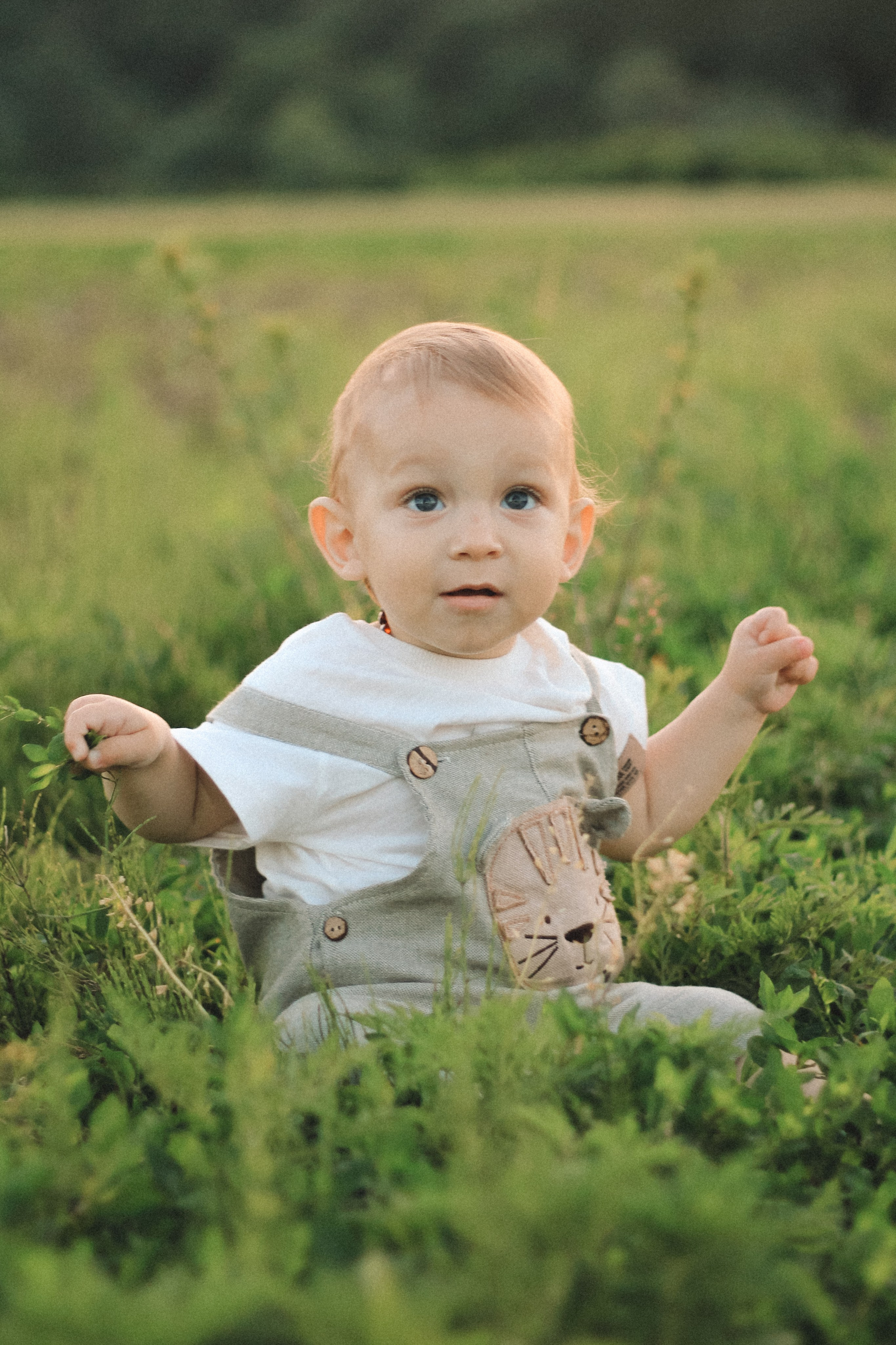 Семейная летняя