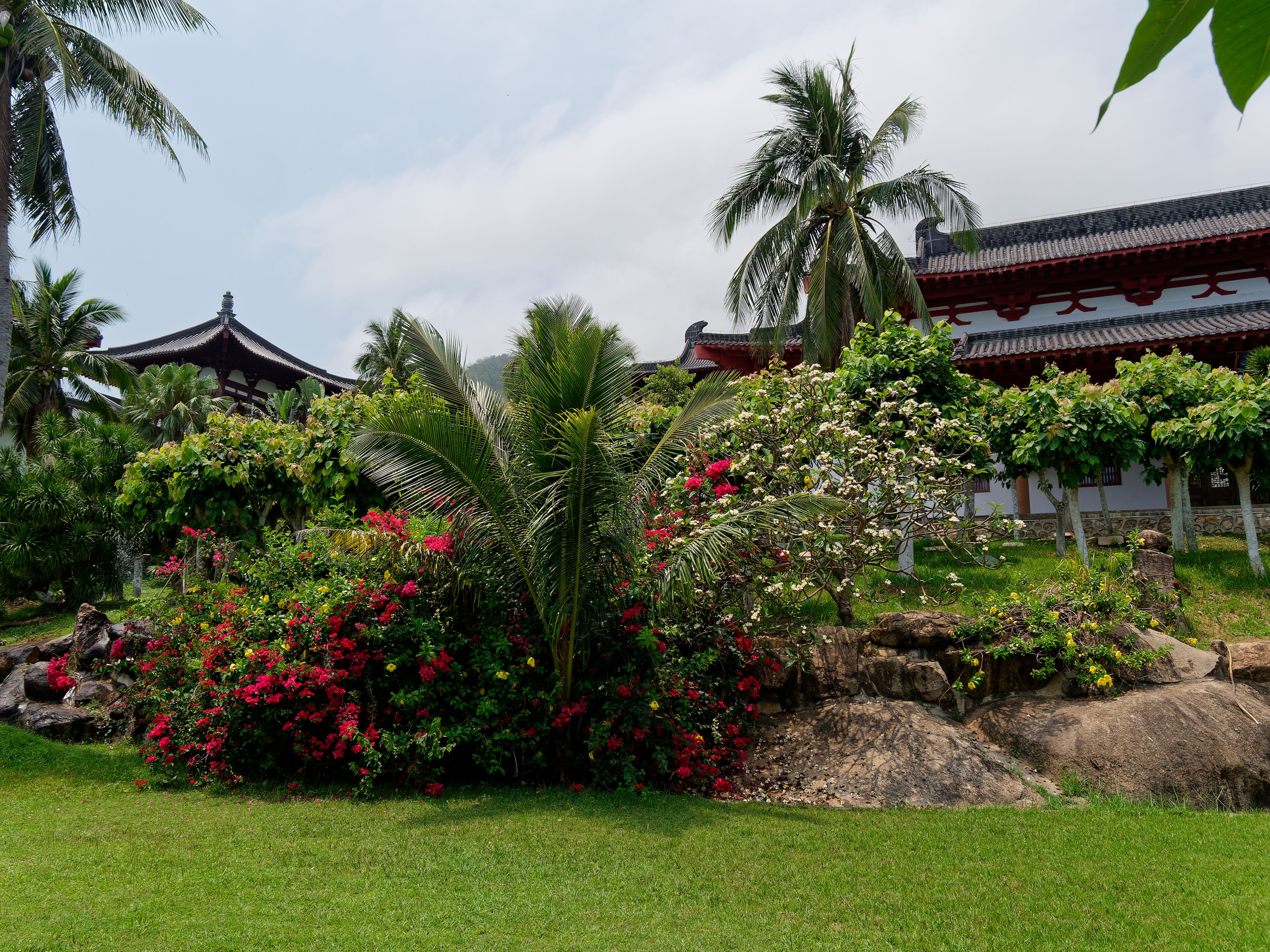 Хайнань 2026, Тур по буддийским храмам. Фотопрогулки по Миру