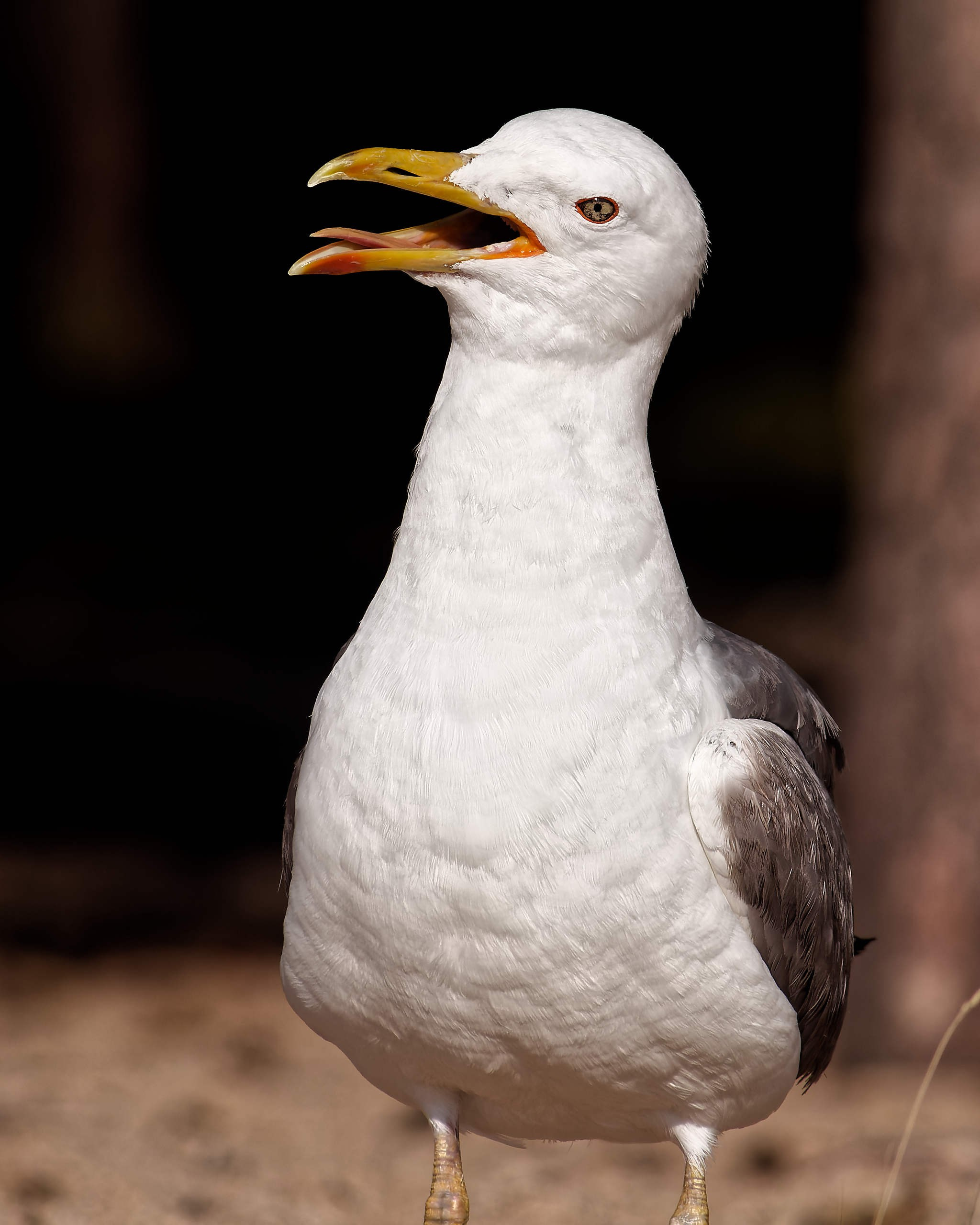 Боровое 2021 (из архива). Избранные фотографии