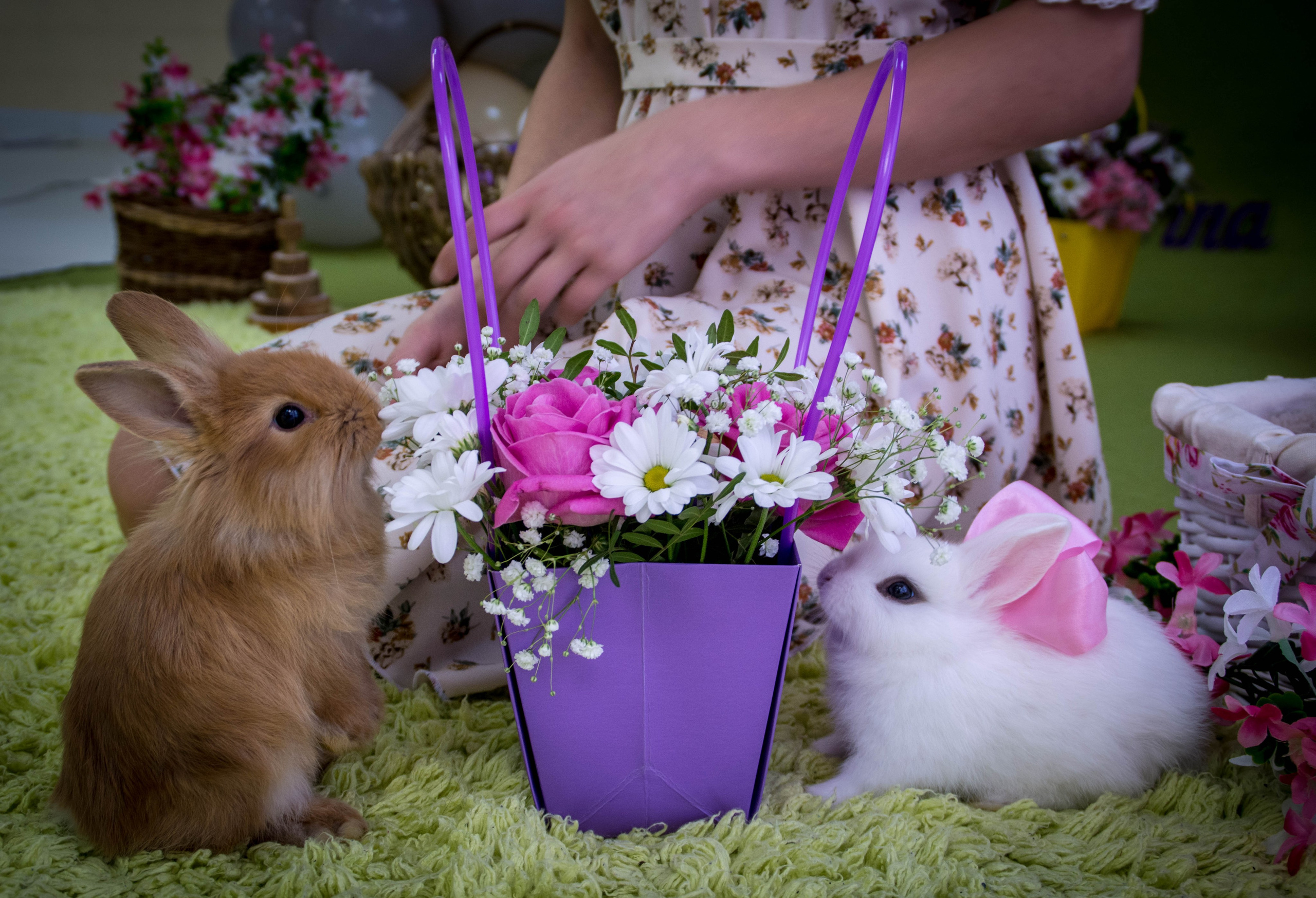 Мягкие и пушистые. Елена Волкова семейный фотограф в станице Гостагаевской города-курорта Анапа