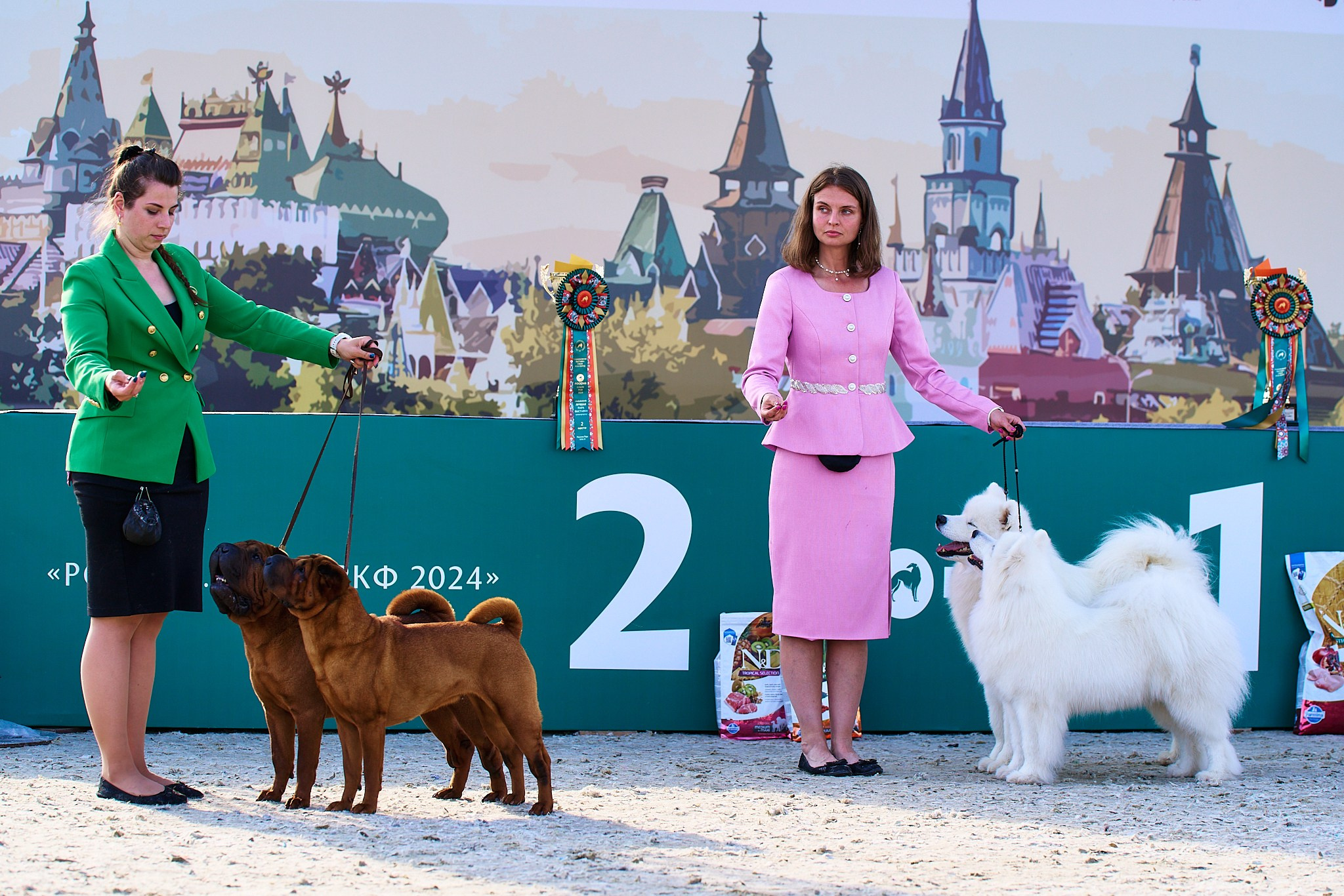 08.06.2024 «РОССИЯ. КУБОК РКФ 2024»