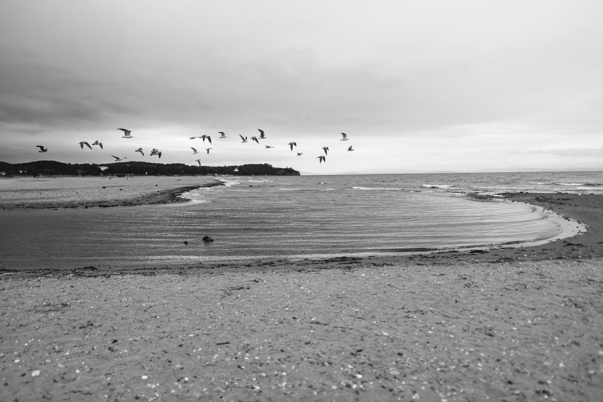 Катя. Свадебный и семейный фотограф Ворожейкин Олег. Фотографирую во Владиво