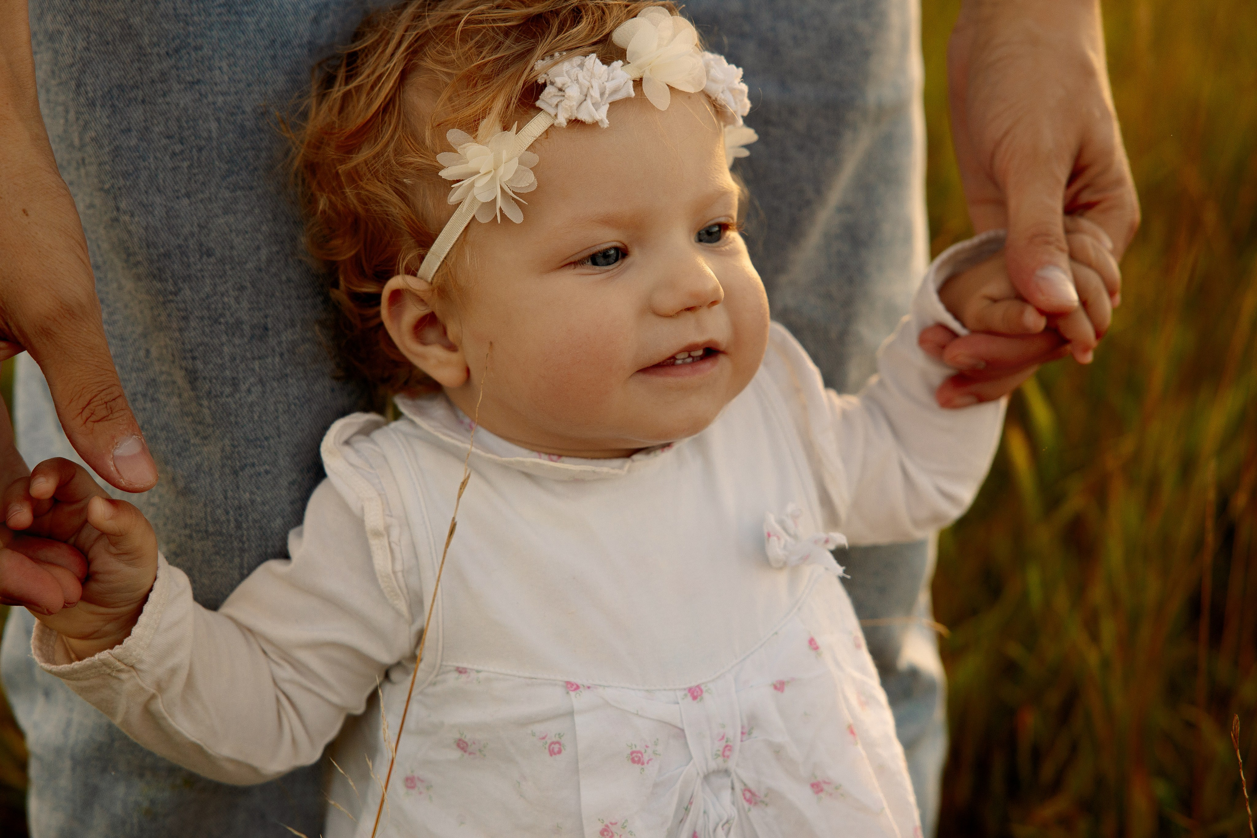 Голицыны. Главная