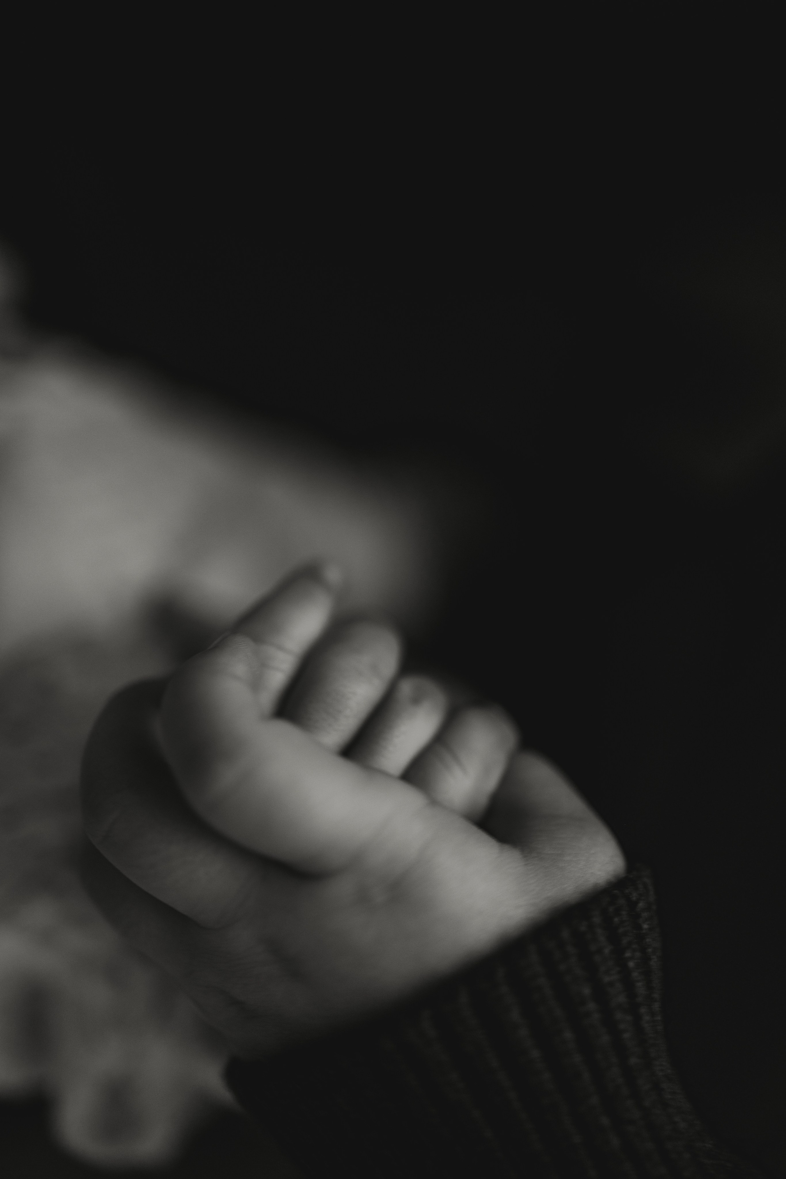 Семейная студийная фотосъемка (03.11.2025 г.) г. Обнинск (Калужская обл.). Надежда Стар семейный и церковный фотограф в Жукове и Калужской области