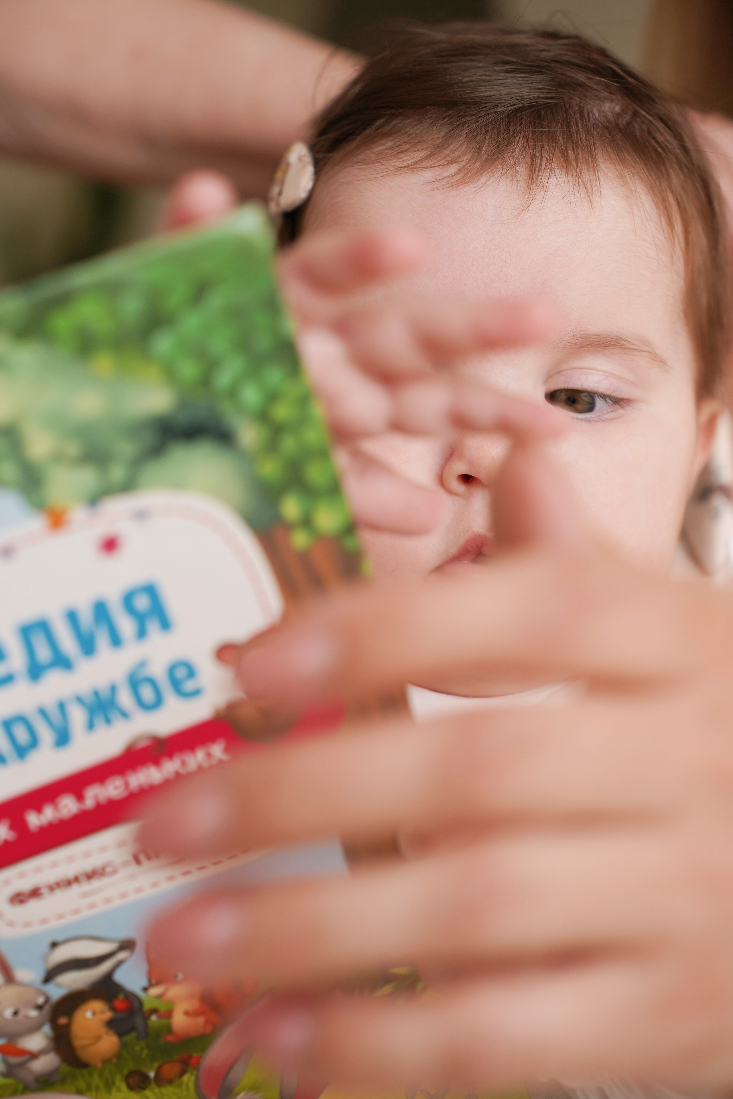 Семейная фотосессия. Универсальный фотограф в Геленджике Сидорина Кристина