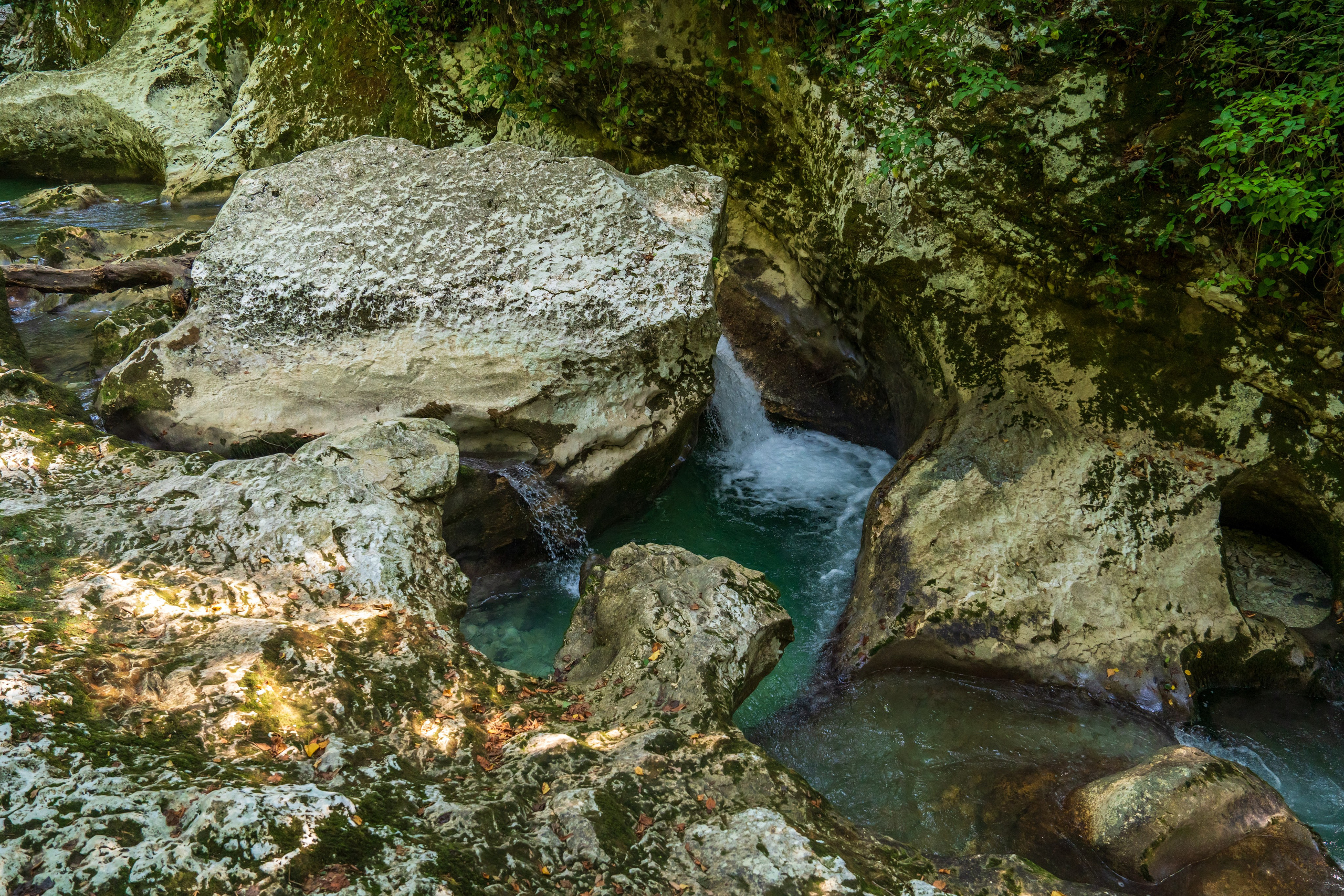 Mice мероприятие — тур по Абхазии. Репортажный фотограф в Красной Поляне и Сочи Павлюченко Екатерина
