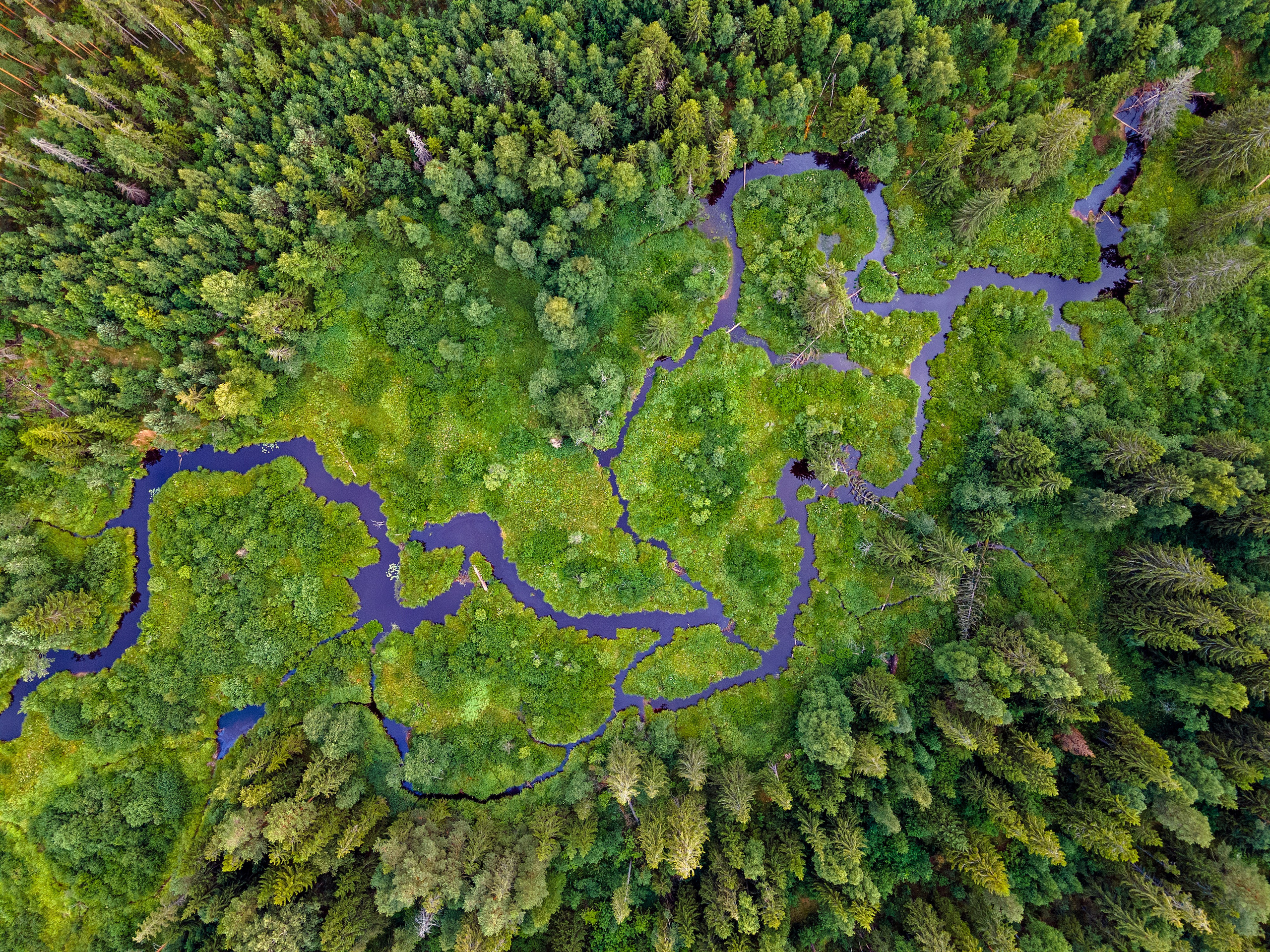 Аэрофотография, фото нашей прекрасной Земли с воздуха. От прошлого к будущему авиации через фотографию