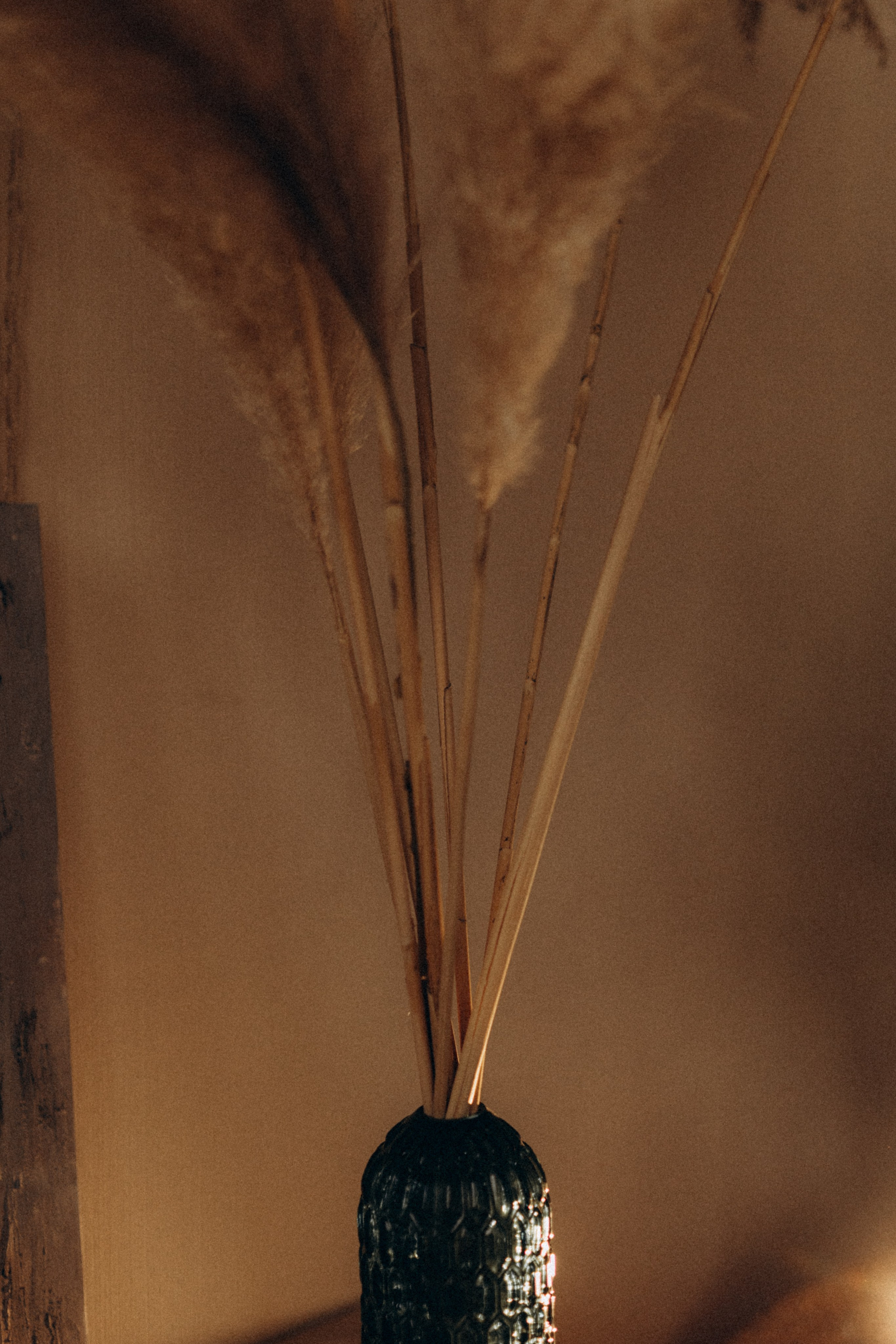 Контент для мастера чайной церемонии/гвоздестояние. Фотограф НОГИНСК, Москва, Анастасия Белая