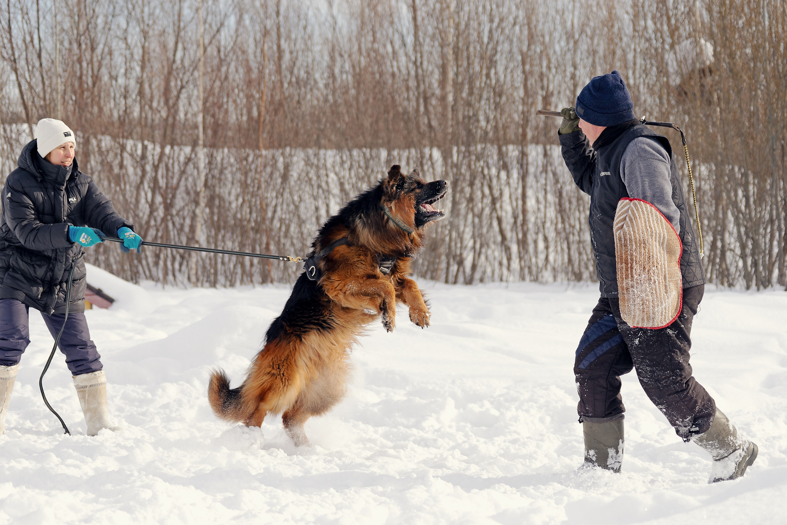 Репортажная съемка. Фотограф-анималист Нижний Новгород