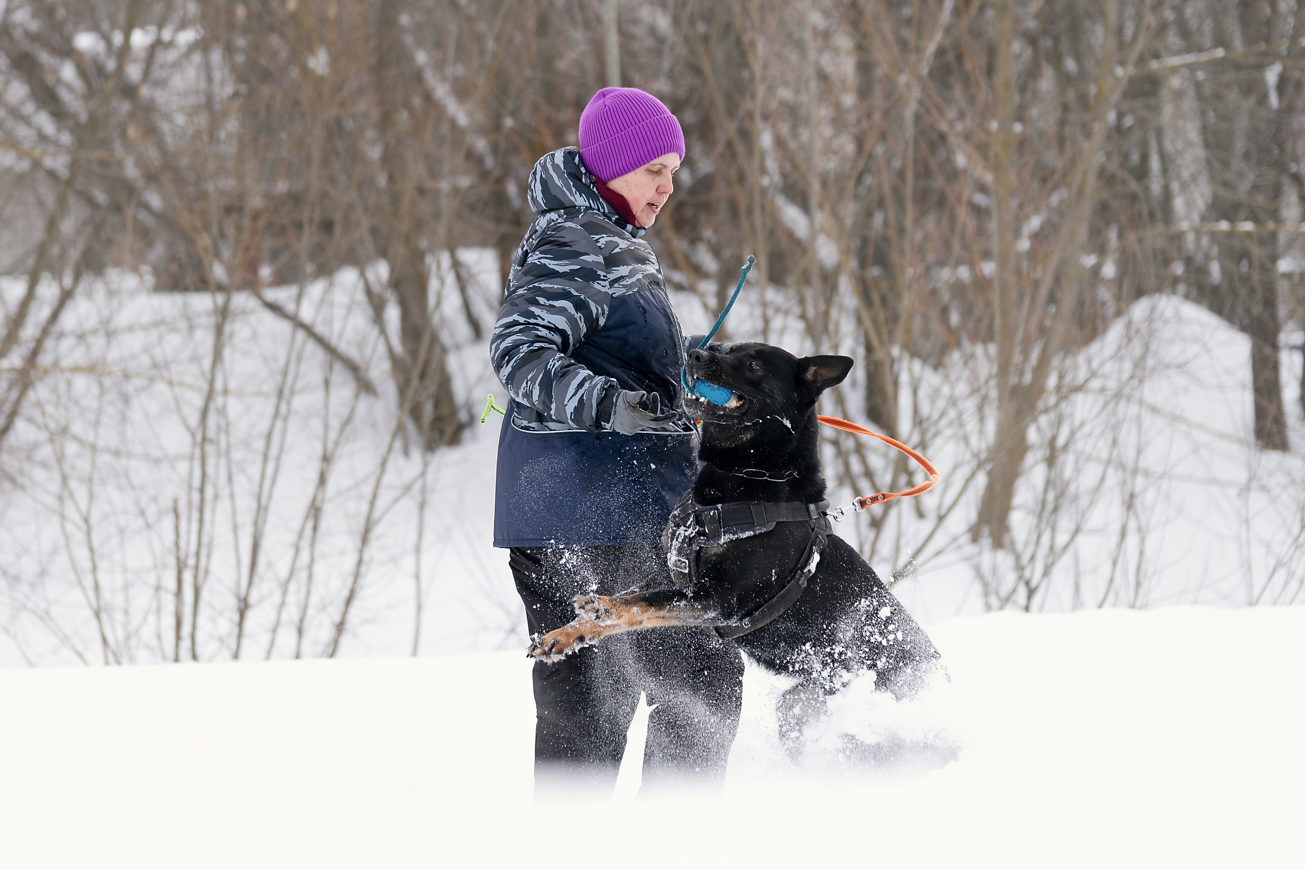 Репортажная съемка. Фотограф-анималист Нижний Новгород