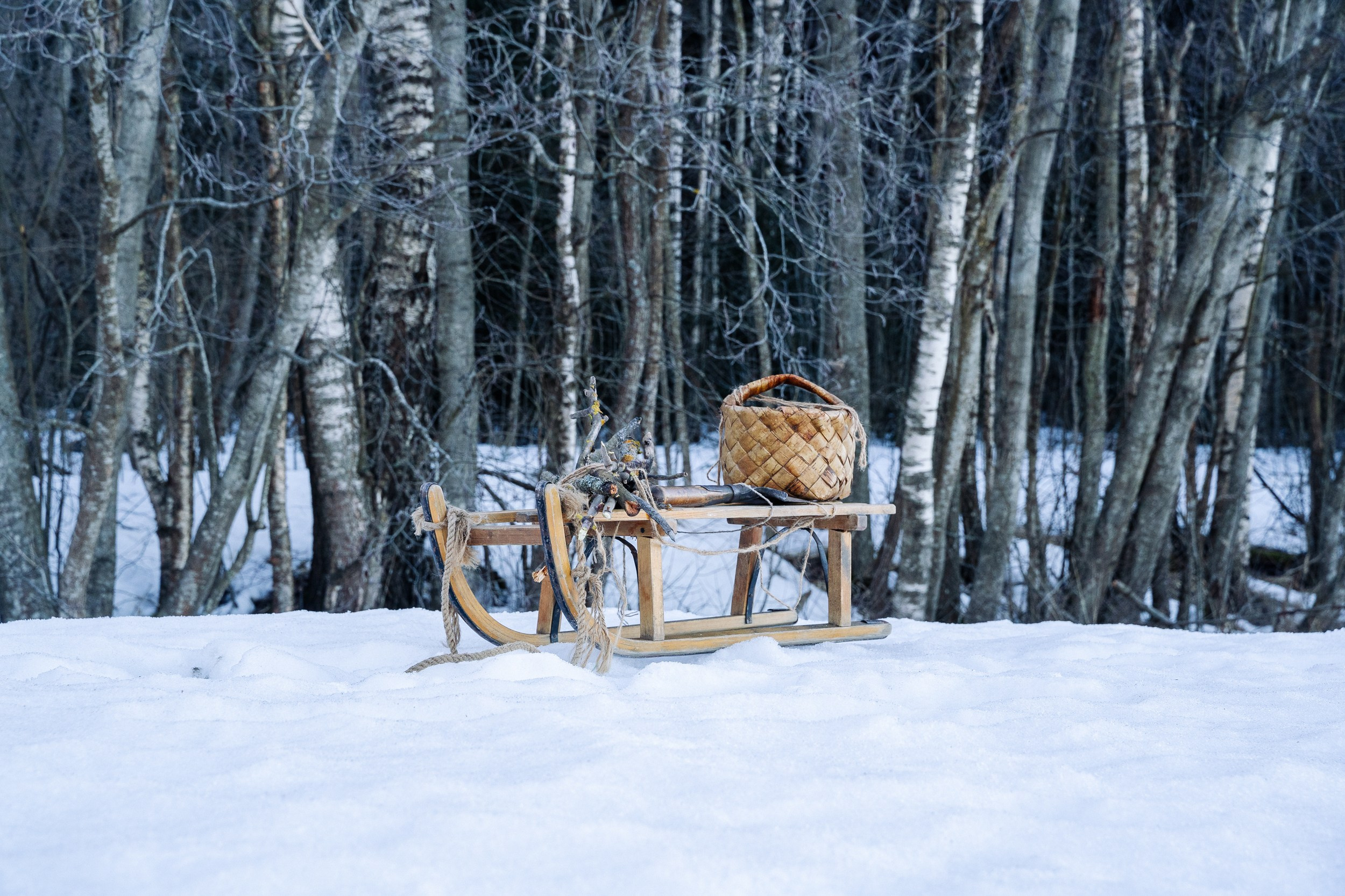 Трезорка. Портретный фотограф. Актёрское портфолио