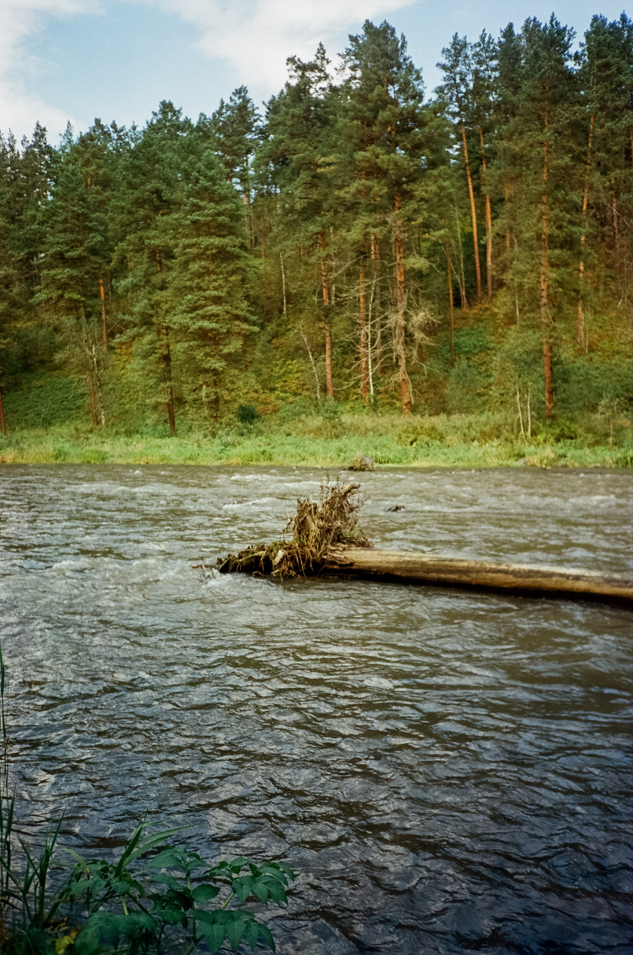 Ботанический сад и река Сема. Фотограф-документалист Мария Осокина