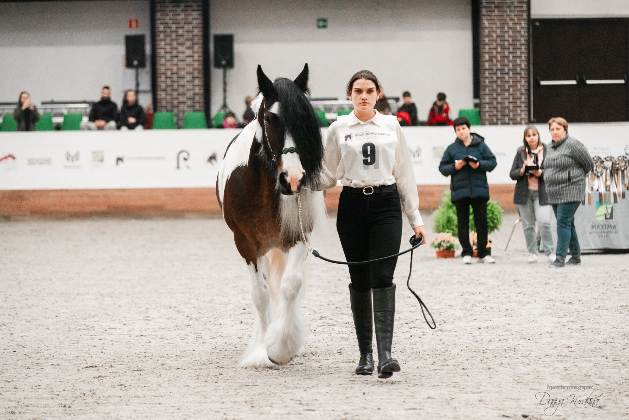 8-я международная выставка Конная Россия. Конный фотограф Куракина Дарья • Фотосессии с лошадьми