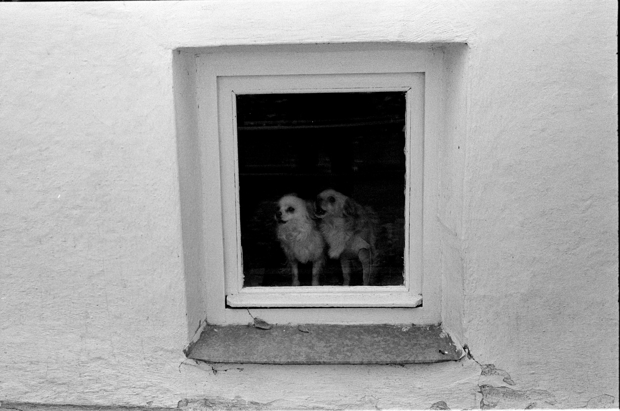 Photoproject "Black salt white sorrow". Ekaterina Solovieva photographer