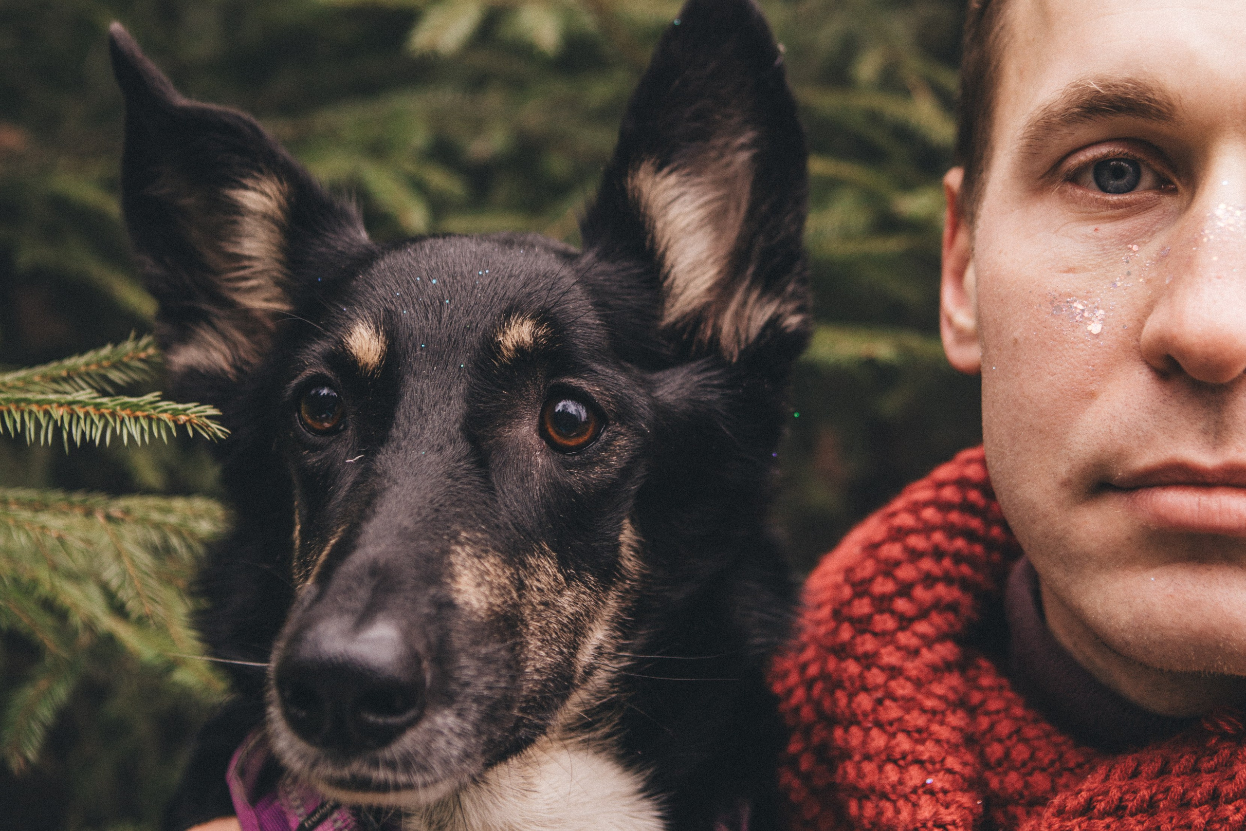 A cinematic tale of true love and unbreakable friendship between a man and a dog. Portrait, family and pet photographer in Cyprus, Ksenia Bourdelle