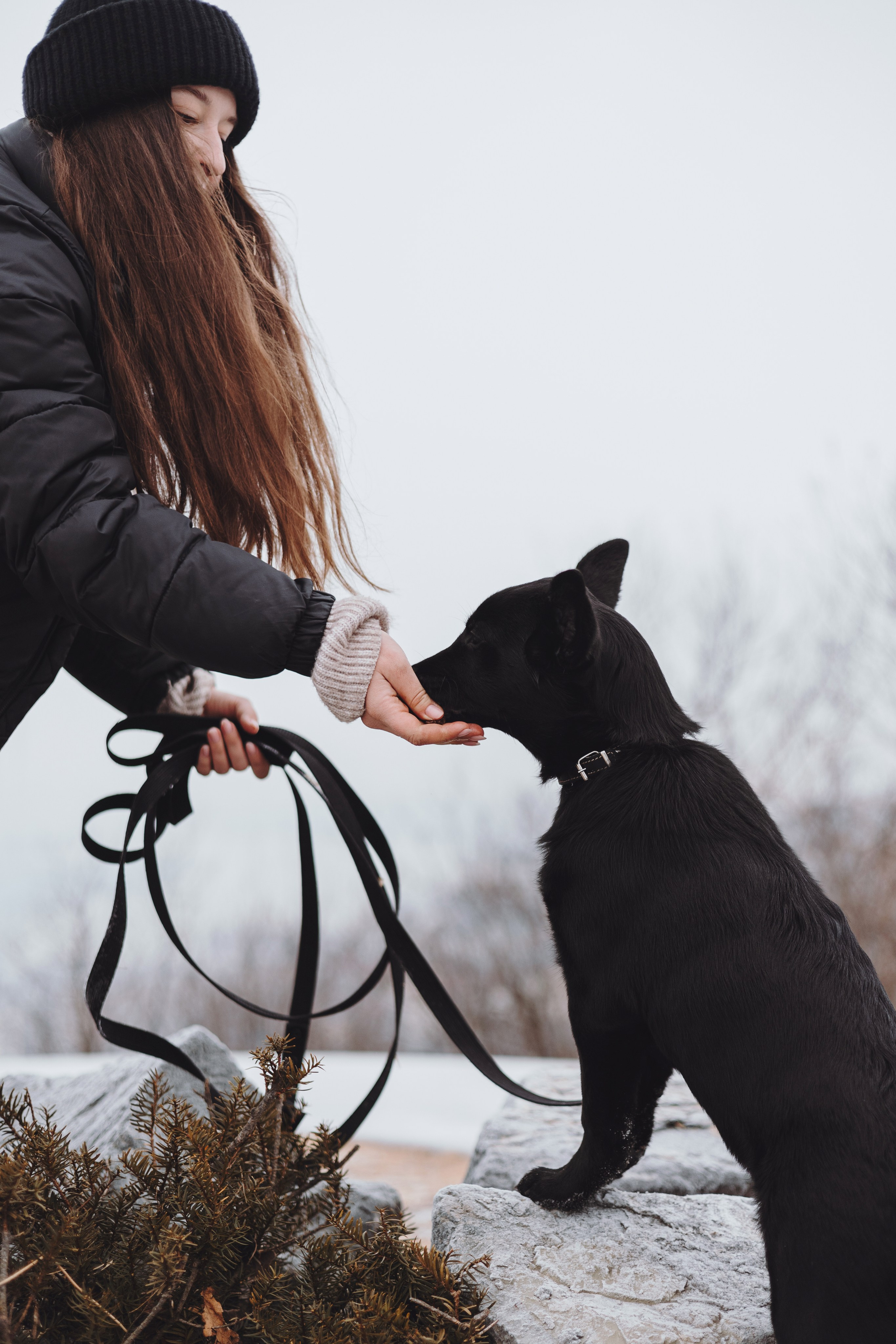 Ксения и Юта. Фотограф — анималист Владивосток, Алина