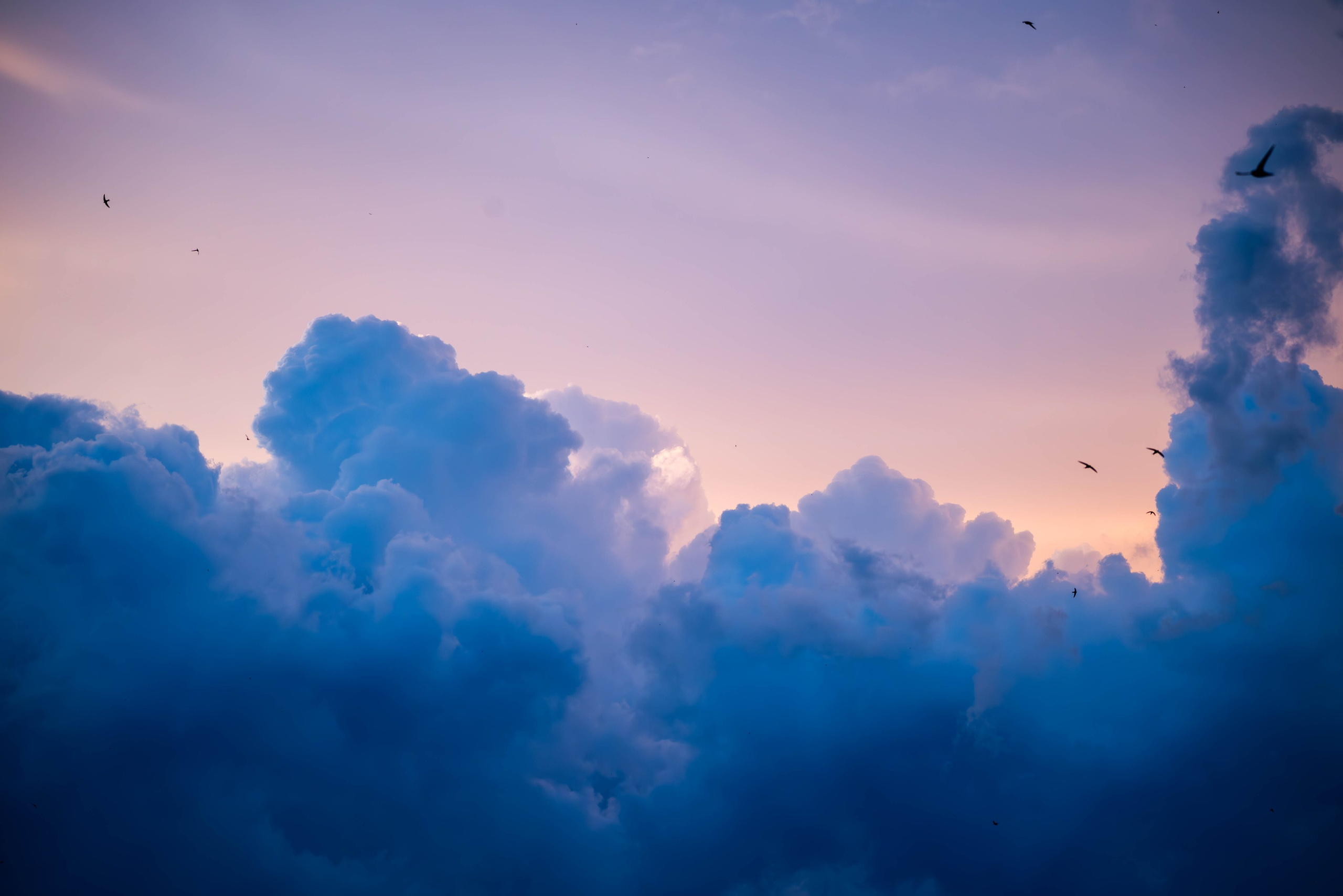 Другие работы. Фуд-фотограф в Кирове Антон Андреев