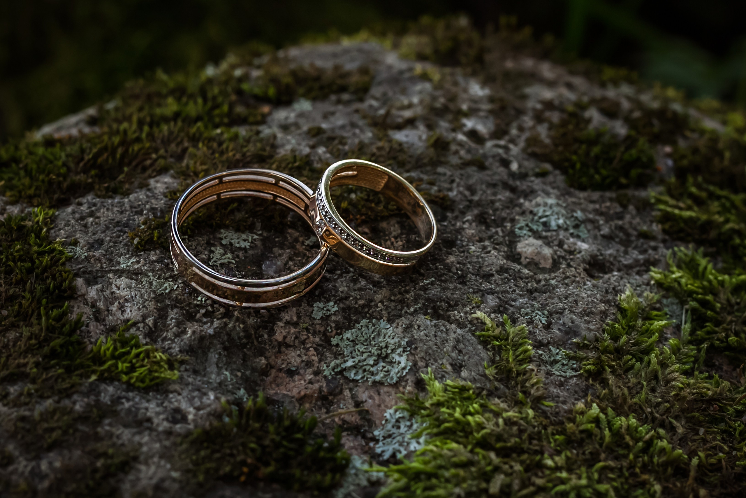 Регистрация в Петергофе, прогулка на метеоре. Елизавета и Роман. Свадебный, семейный и контент фотограф в Санкт- Петербурге Елена Грие