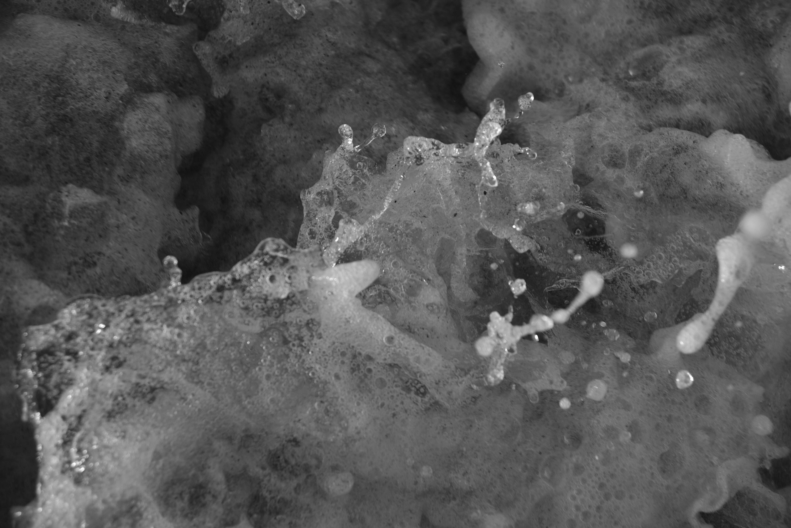 Фотограф Милена Яновска