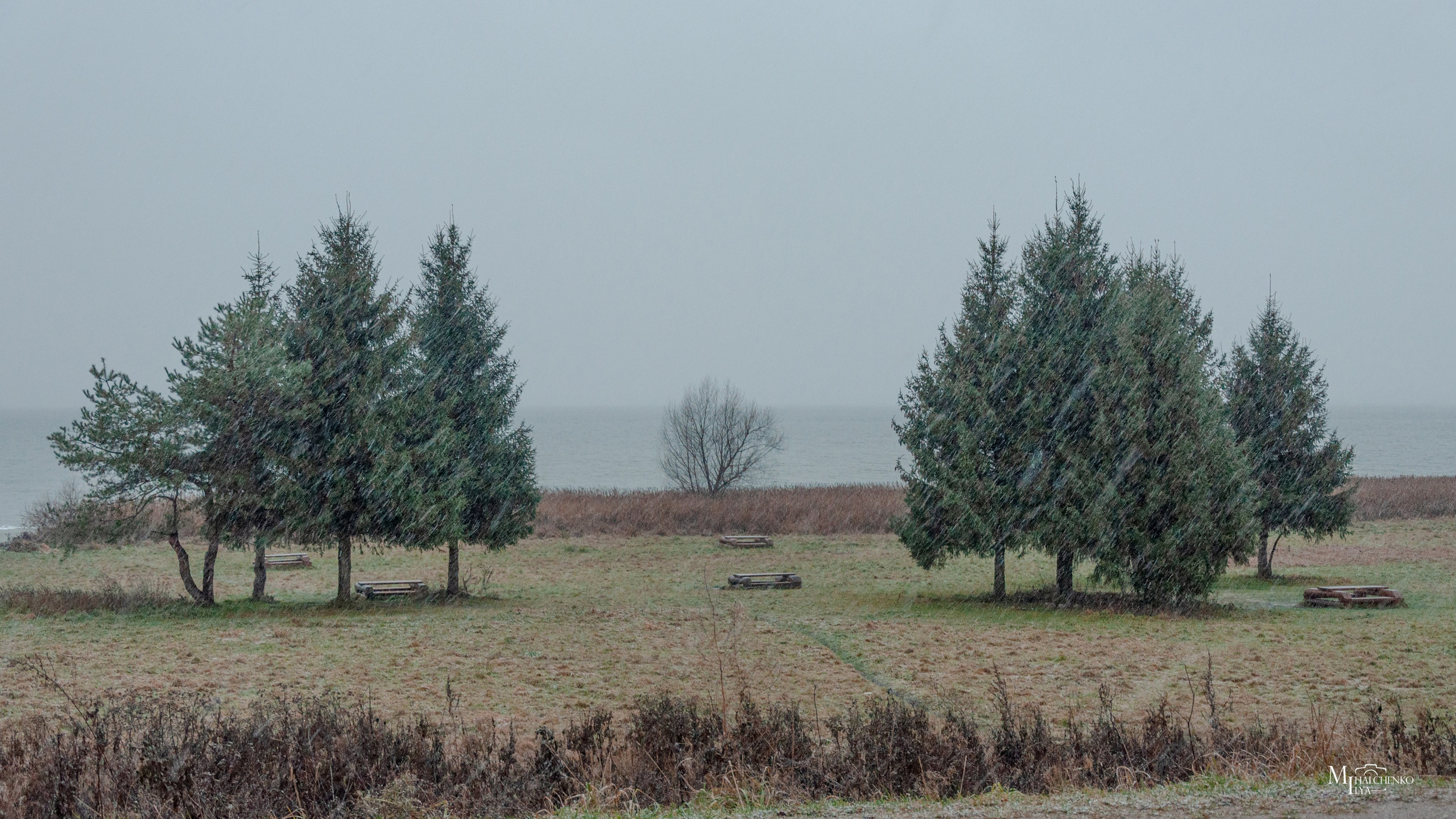 Пейзажи и архитектура. Портретная и репортажная съёмка