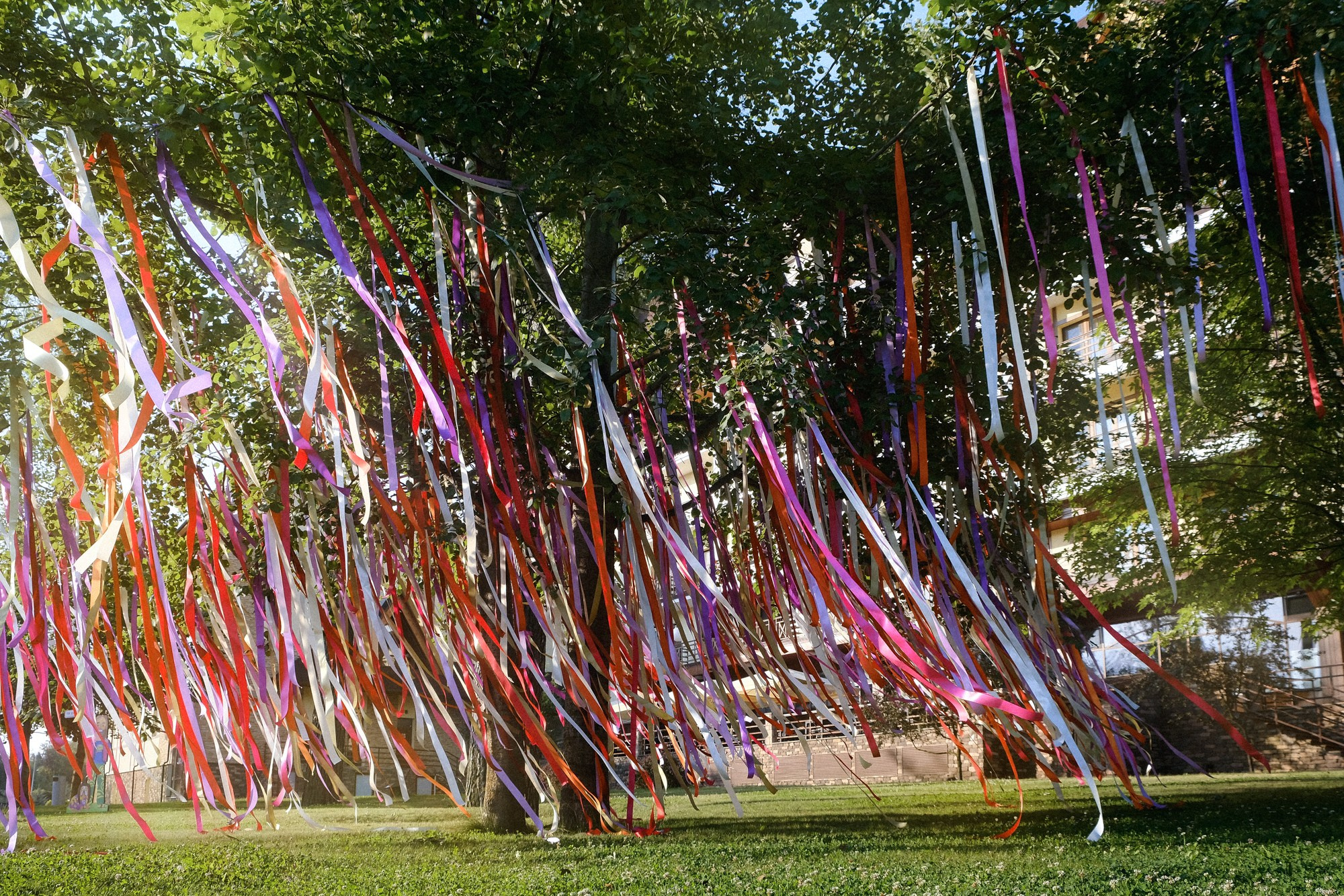 Ареал Конгресс-Отель. Основное