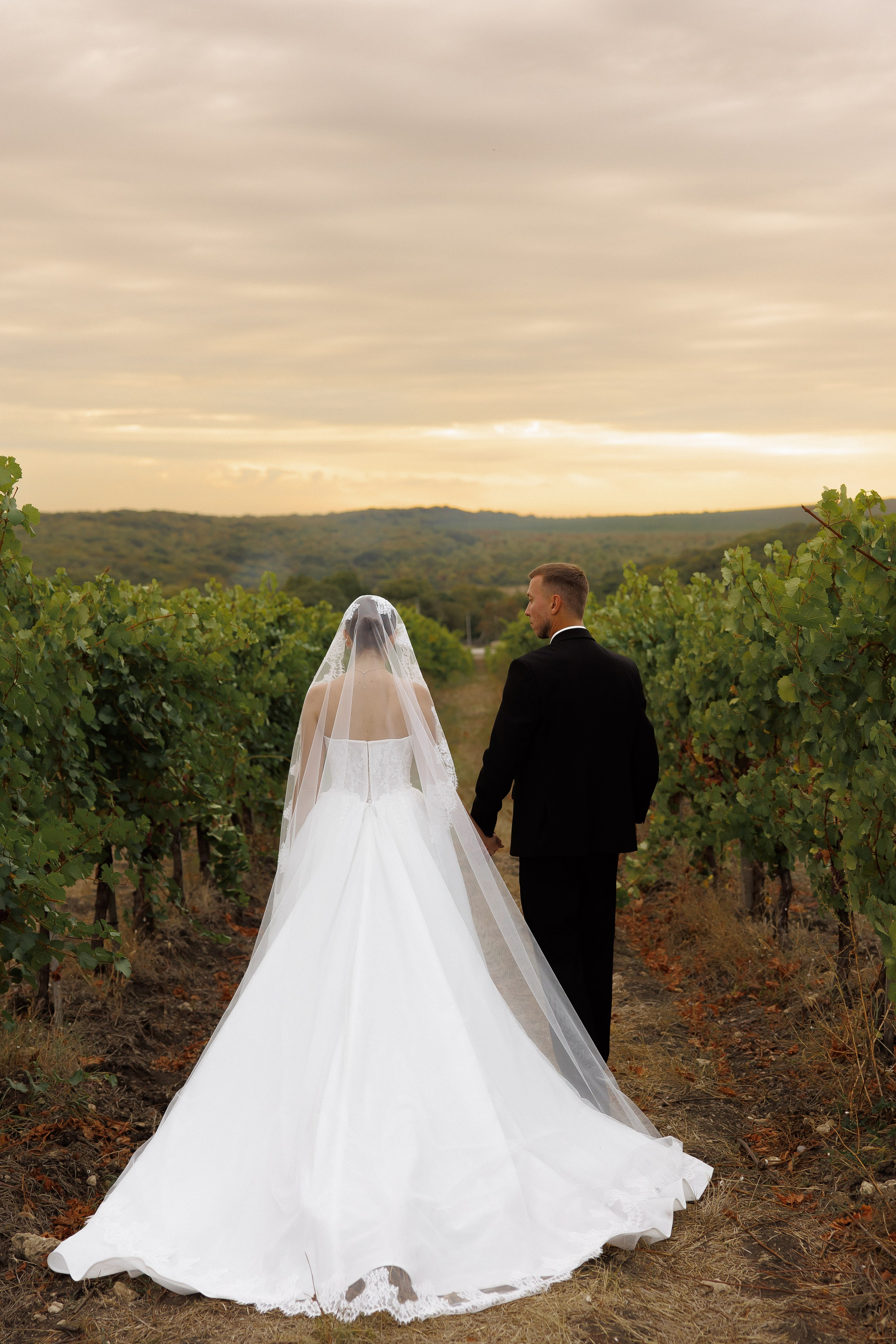 Wedding N&V. Свадебный фотограф Краснодар Юлия Ткаченко