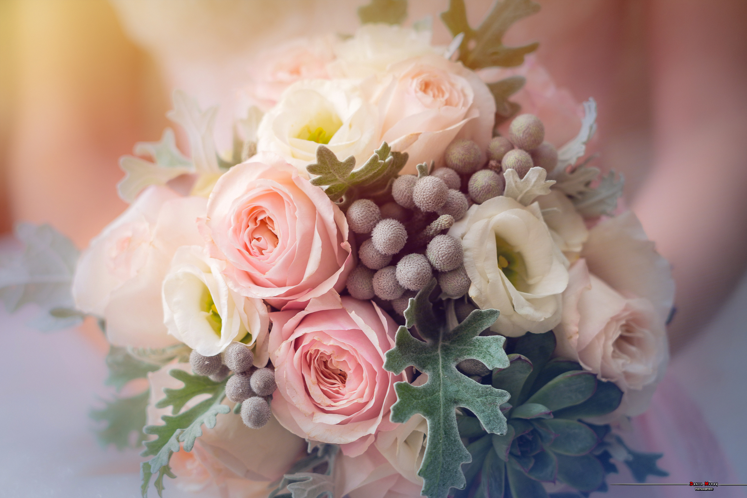 Даниил Мурай. Семейное фото. Мужской портрет. Женский портрет. Даниил Мурай — Фотограф Зеленоград- Аланья