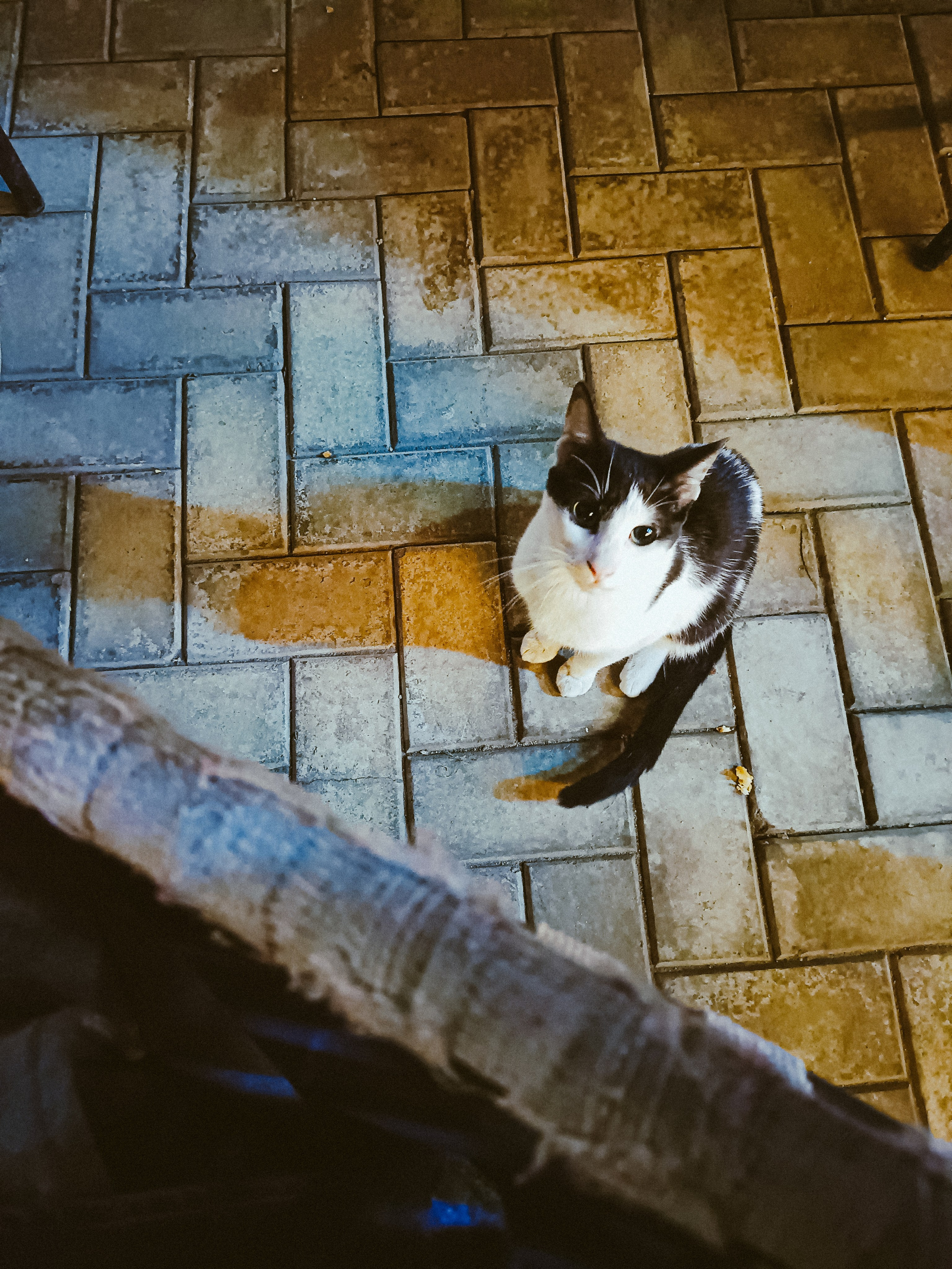 Мобильная. Jorgis — фотограф в Хургаде / обучение фотографии