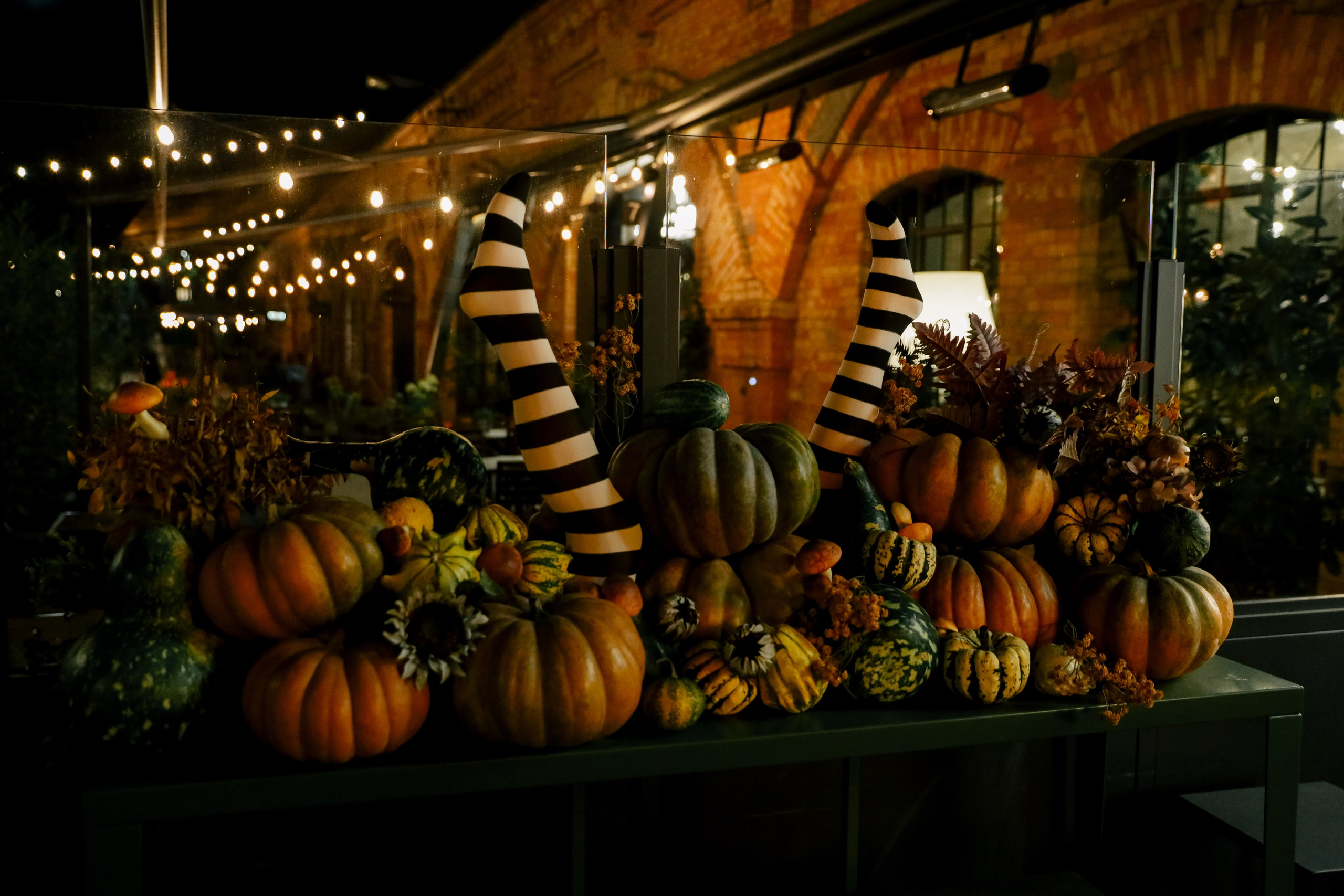 В любви не холодно. Свадебный и семейный фотограф в Варшаве