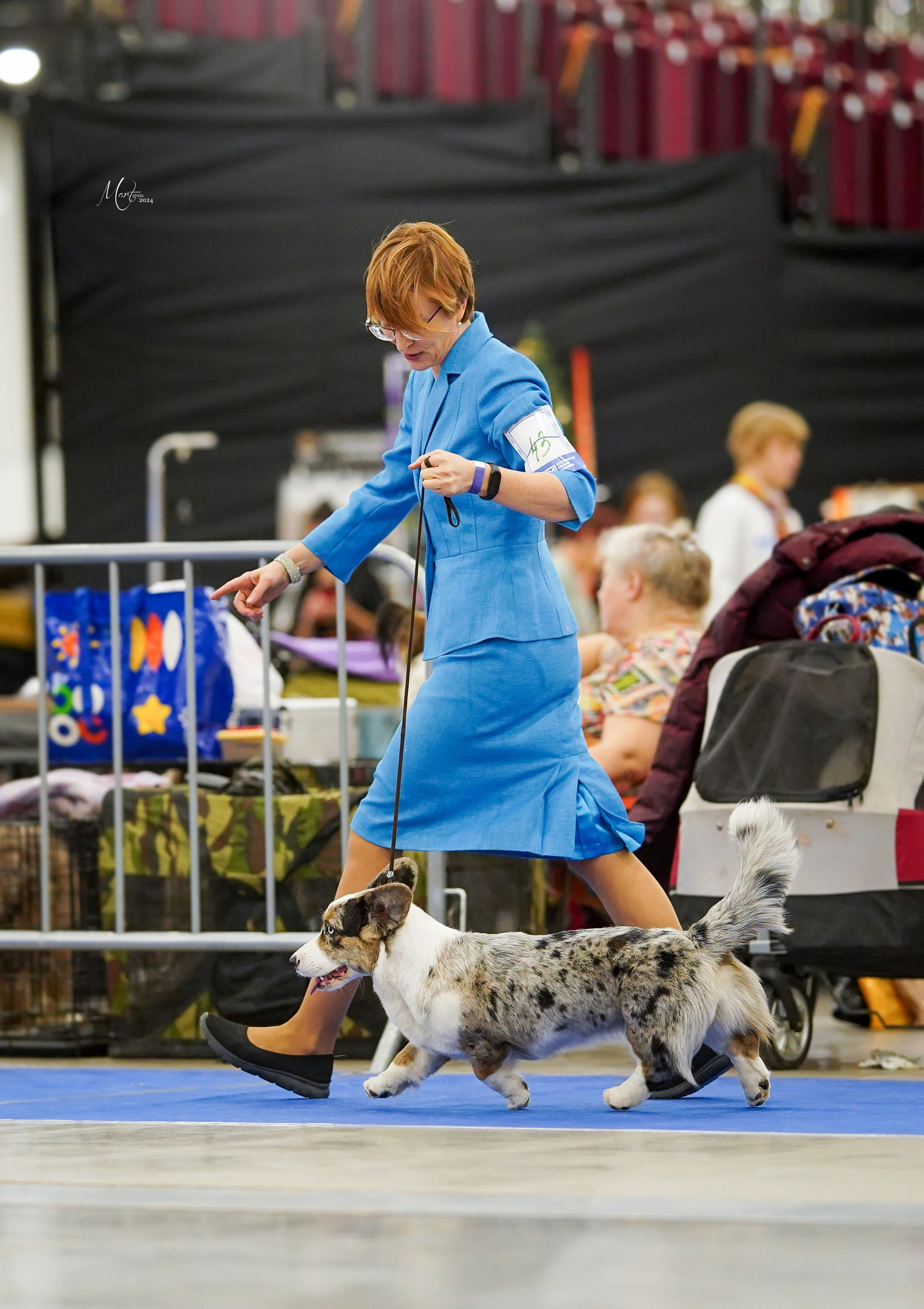 Выставки 2024. Фотограф-анималист в Санкт-Петербурге Яна Мартынова