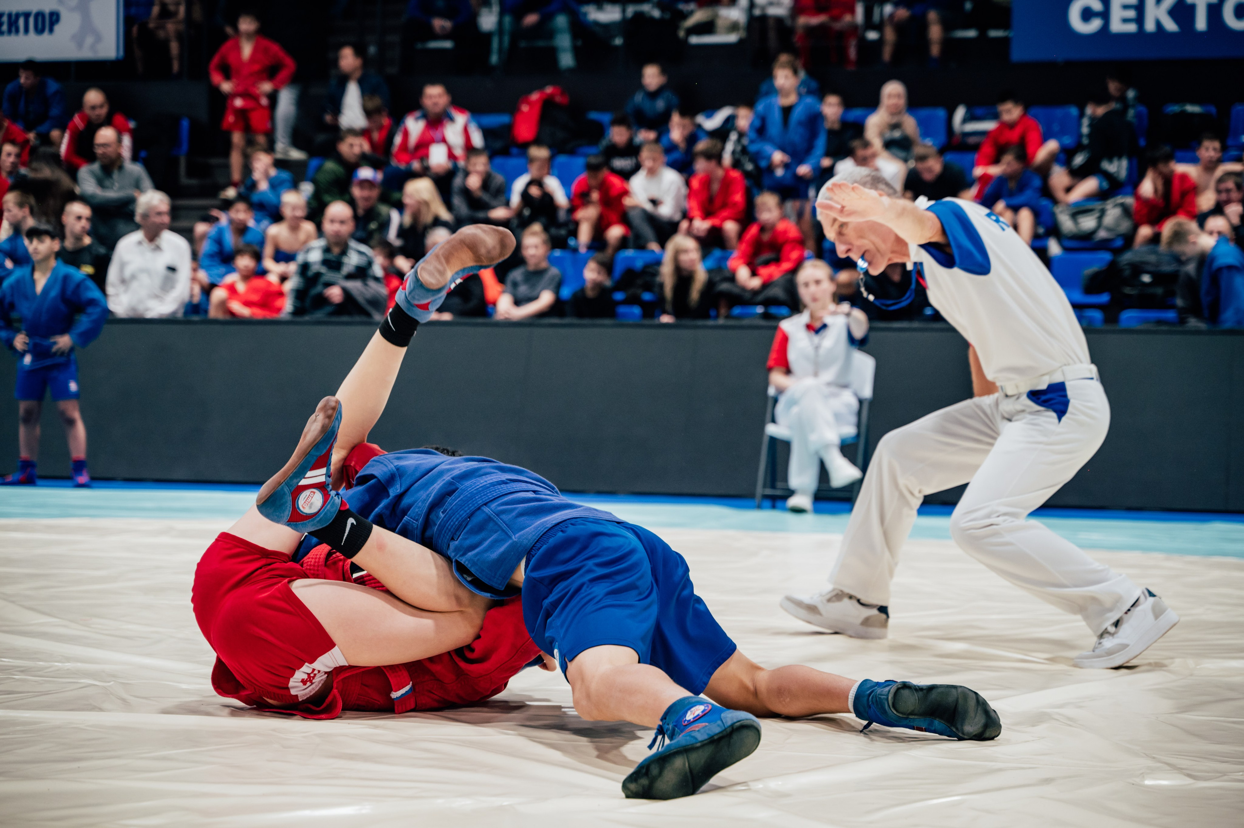 Турнир по самбо ЮФО