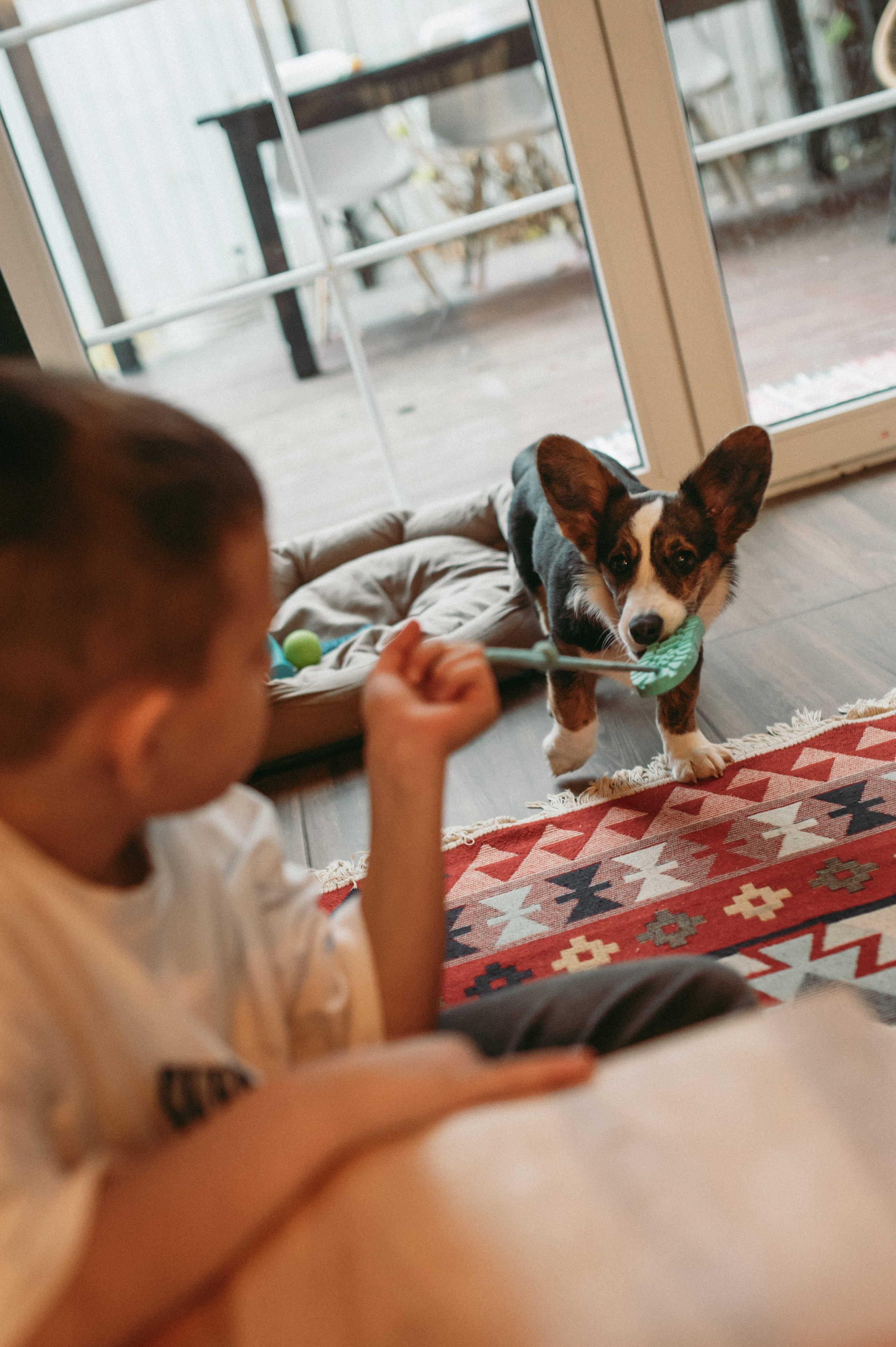 Пока СНИКИ ещё маленький. Семейный фотограф МОСКВА/Королёв