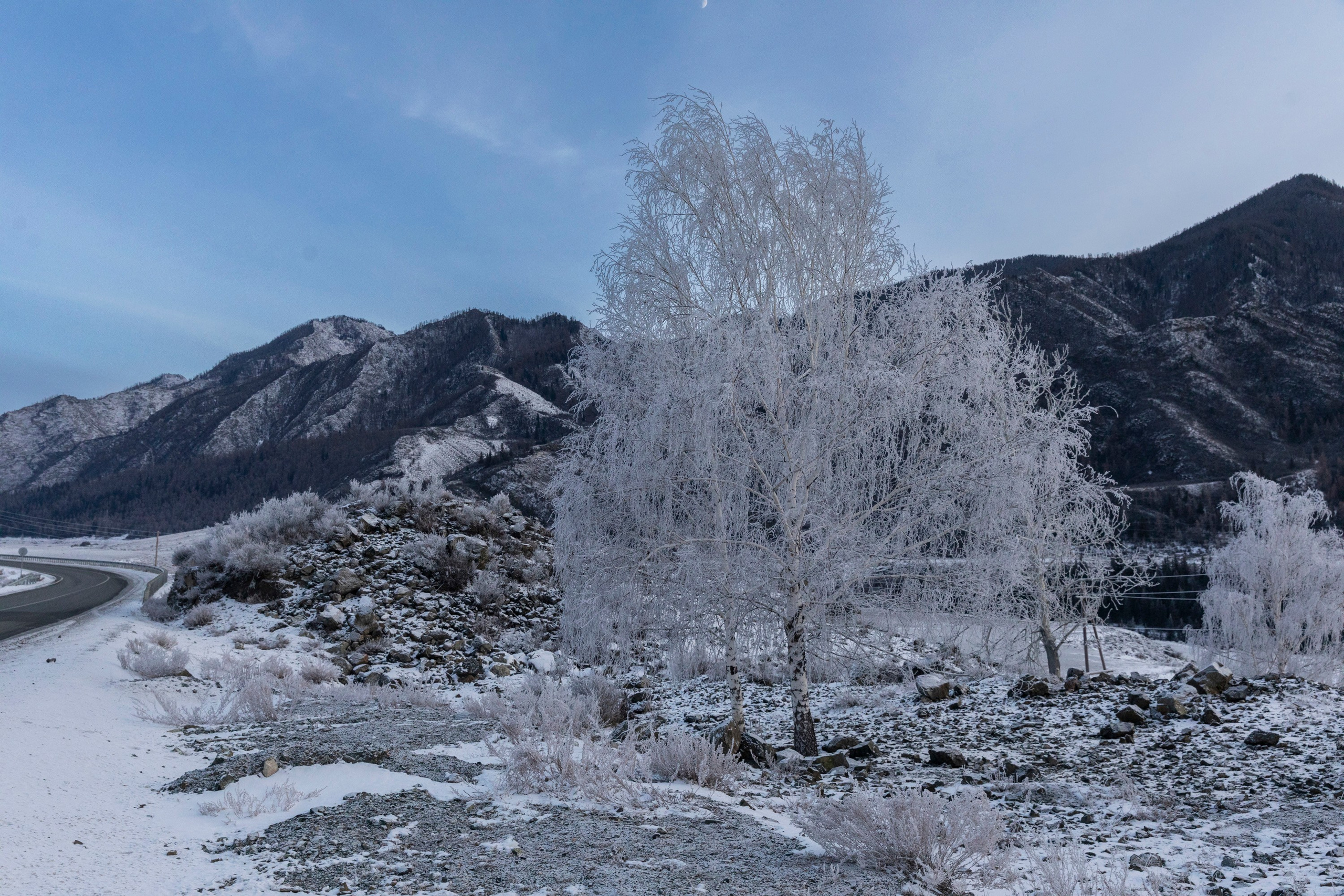 Алтай в декабре. Марина Захарова — Фотограф. Москва / Marina Zakharova — Photographer