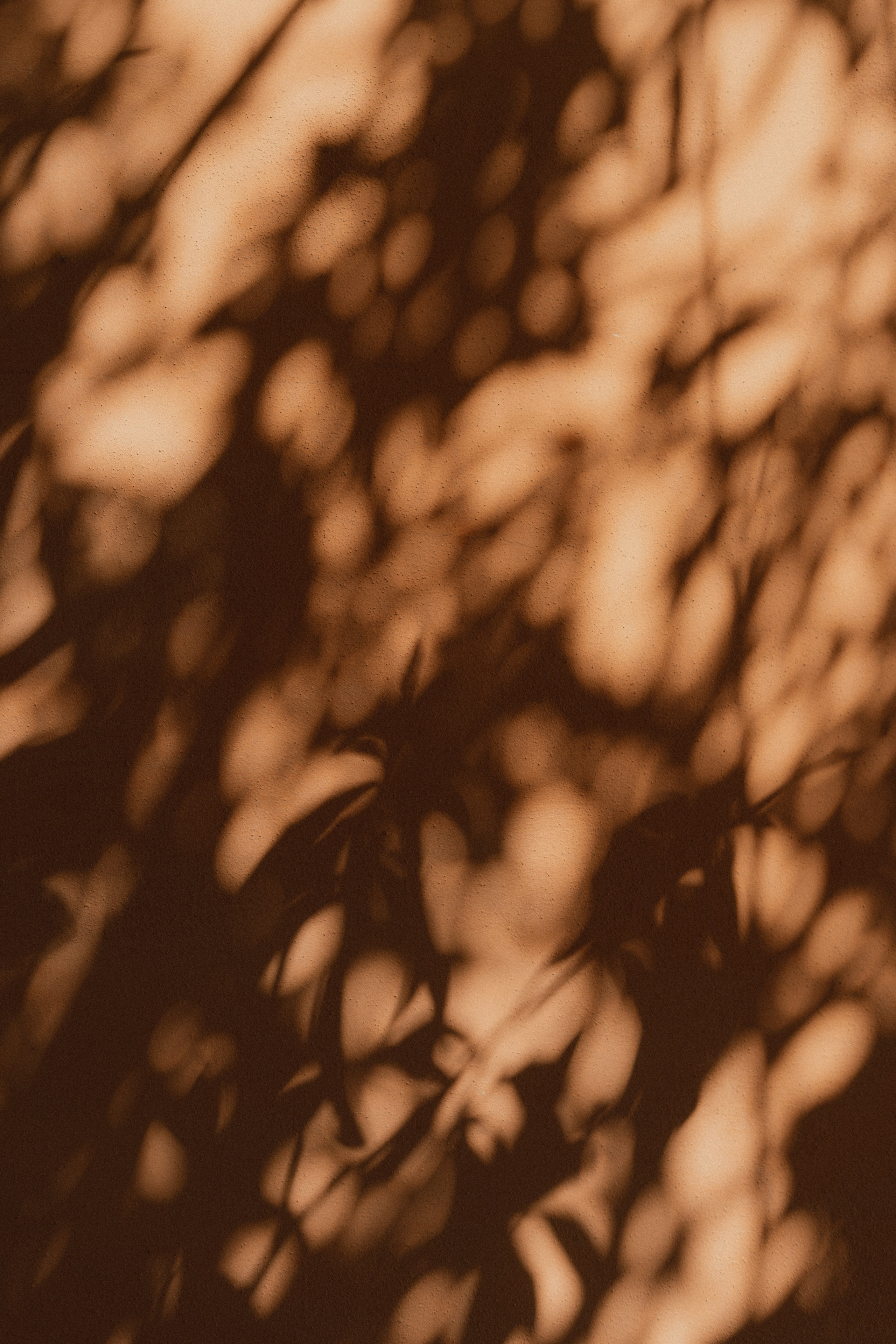 Relais Villa Isabel | Pietrasanta