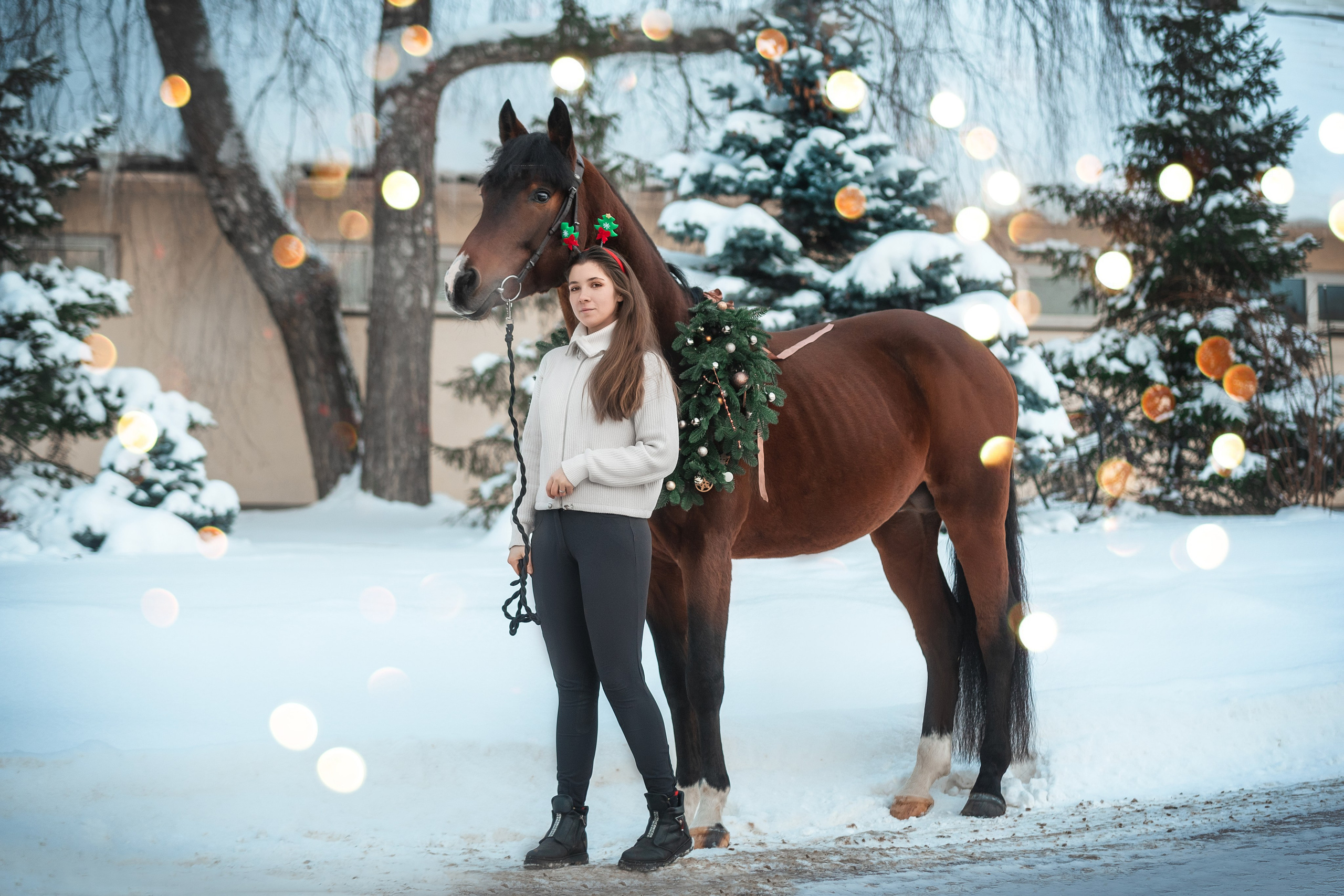 Конный фотограф Куракина Дарья • Фотосессии с лошадьми