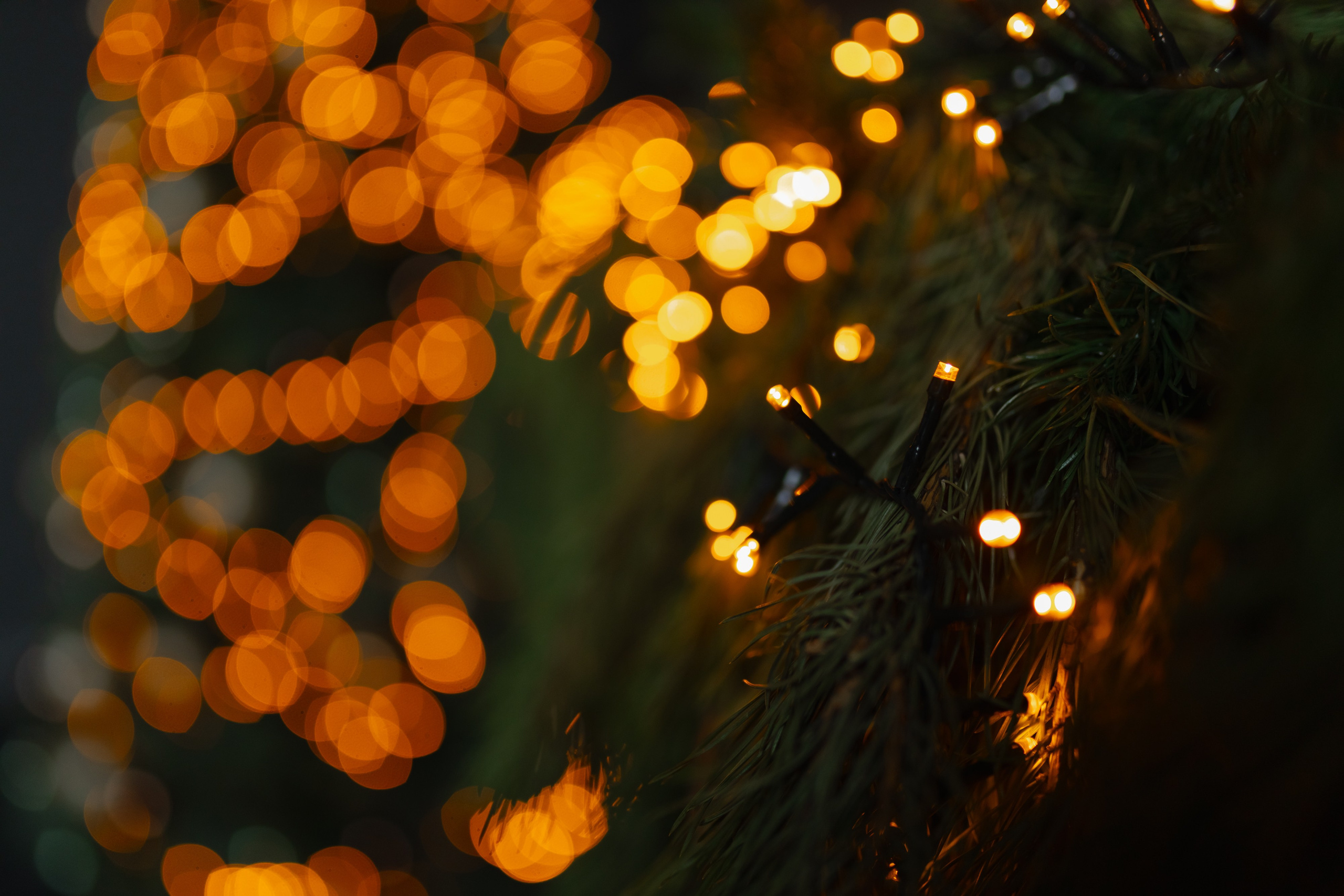 Семейная новогодняя съемка. Свадебный фотограф в Минске/Беларуси Сергей Спиридонов