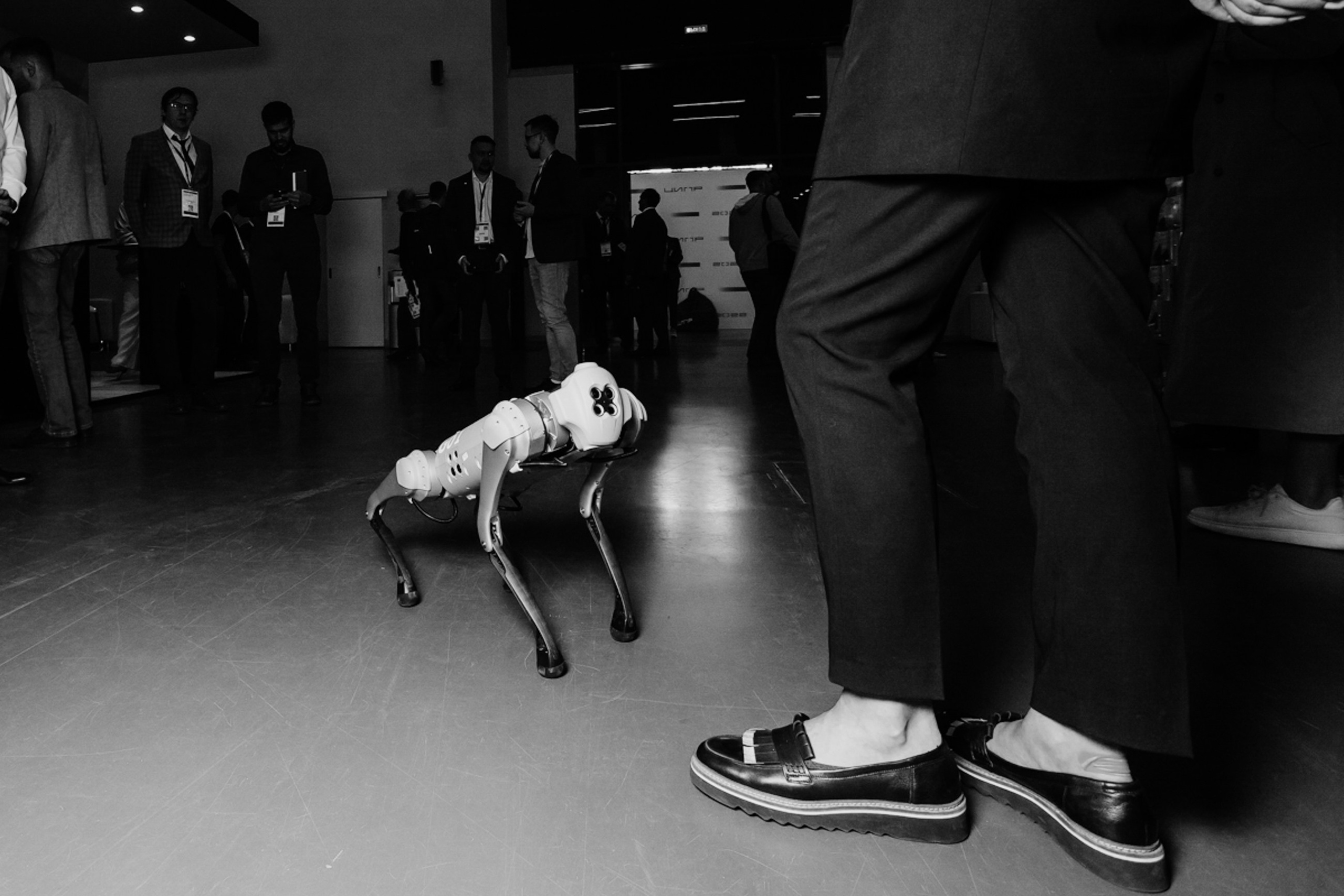 ЦИПР. LEVORIGINAL